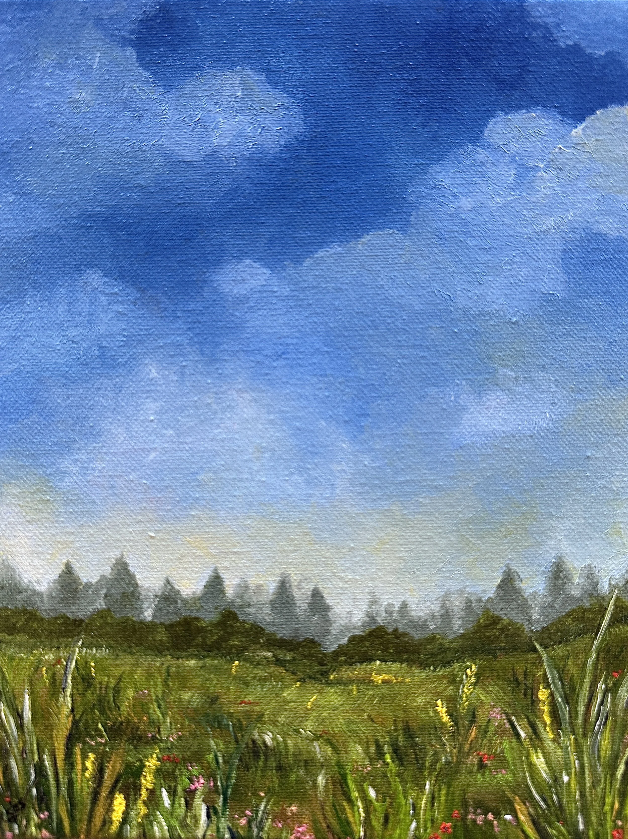 Midsummer Meadow - (An Original Oil Painting - 8x10")