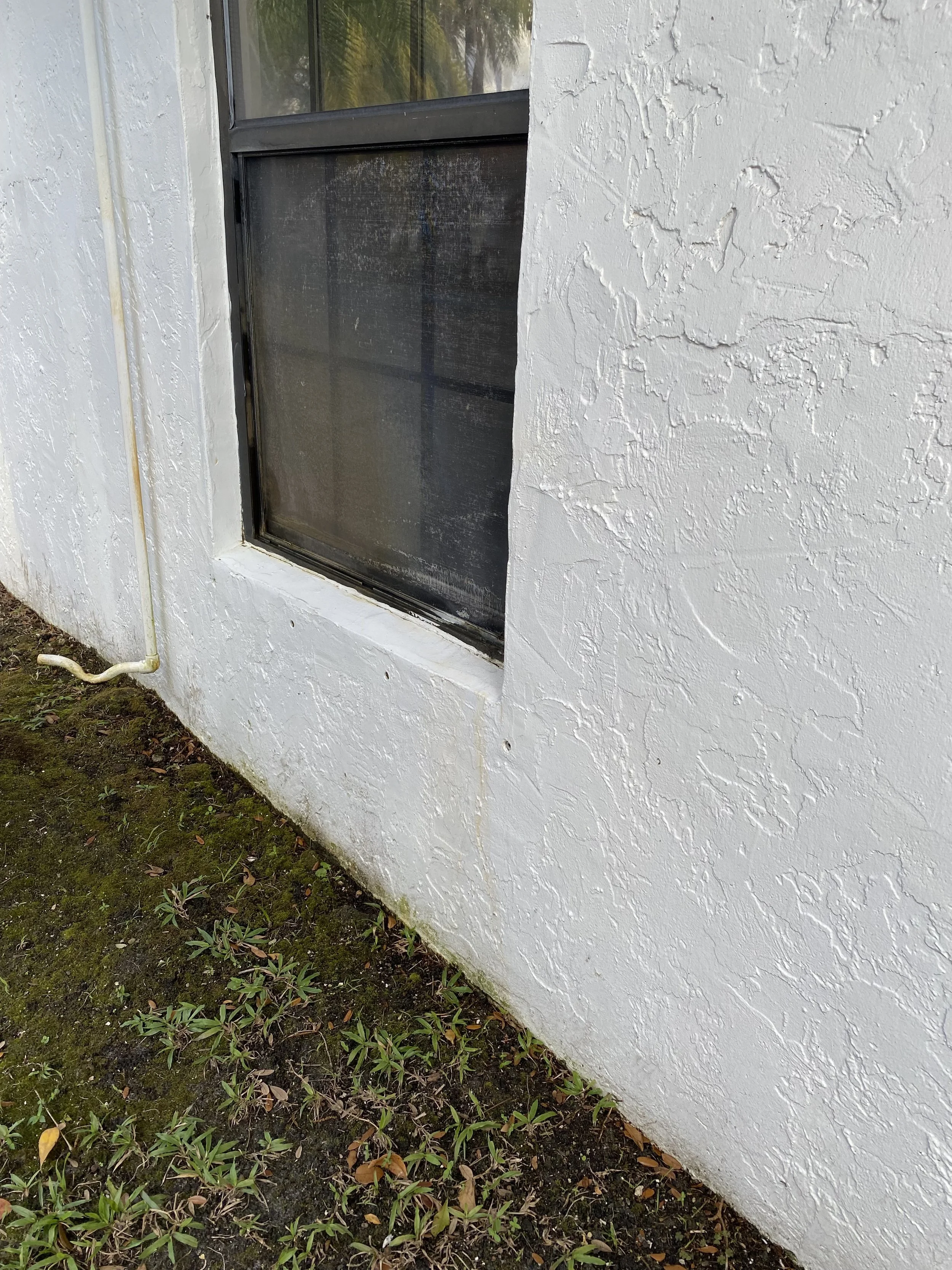 Professional Cleaning