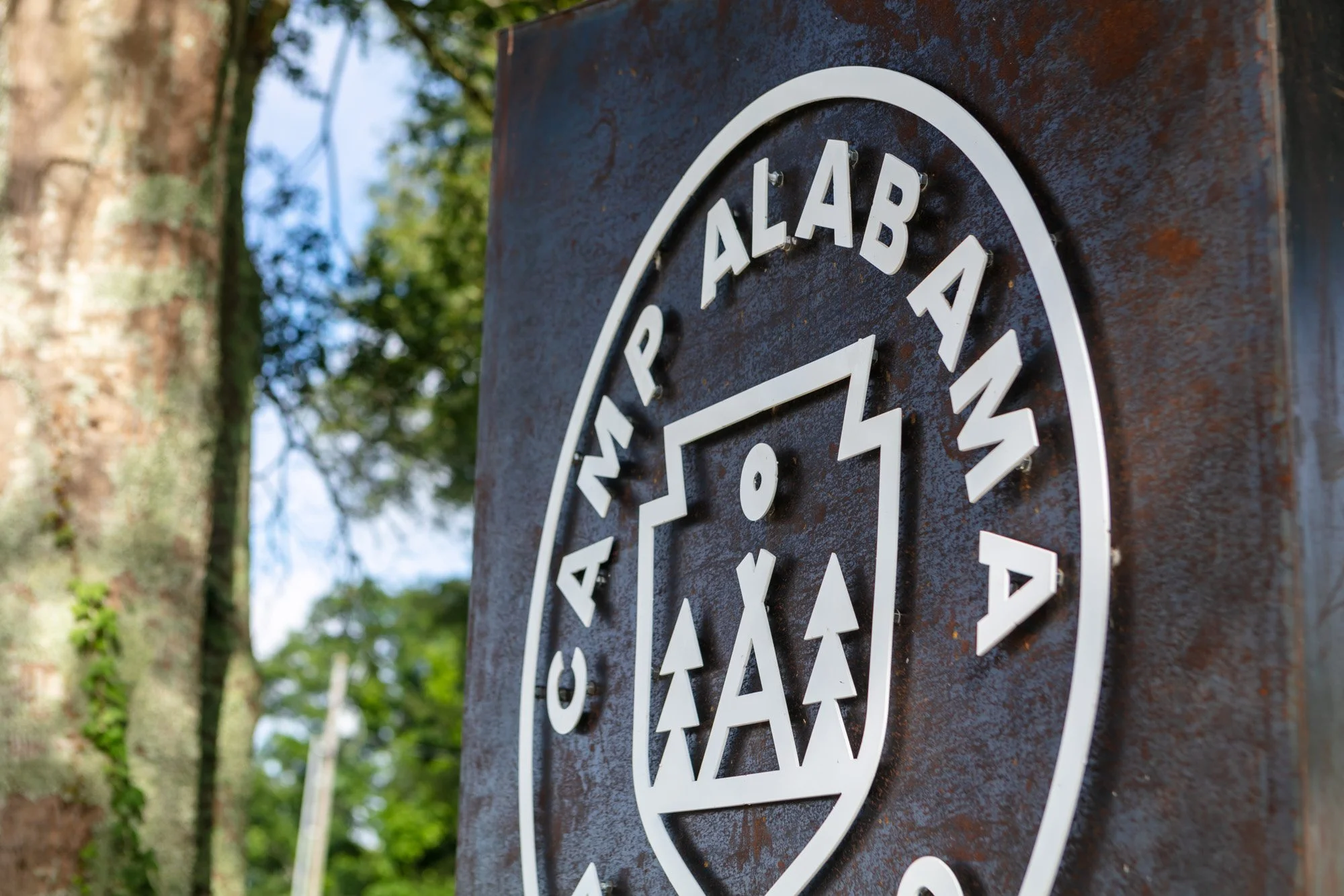 Front gate, two 800 lb pylons with remote operated electric gate.