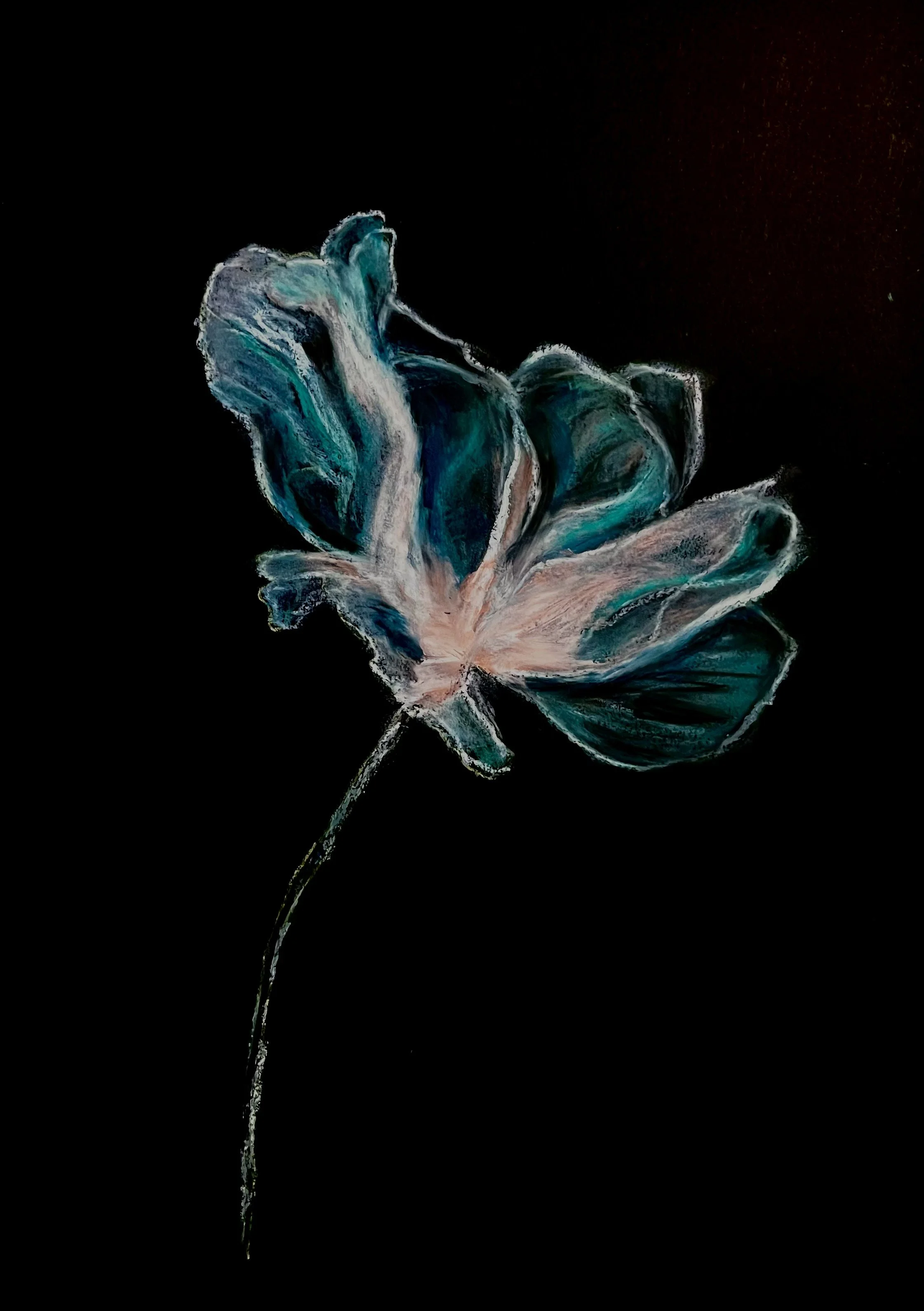 Florituras Eléctricas