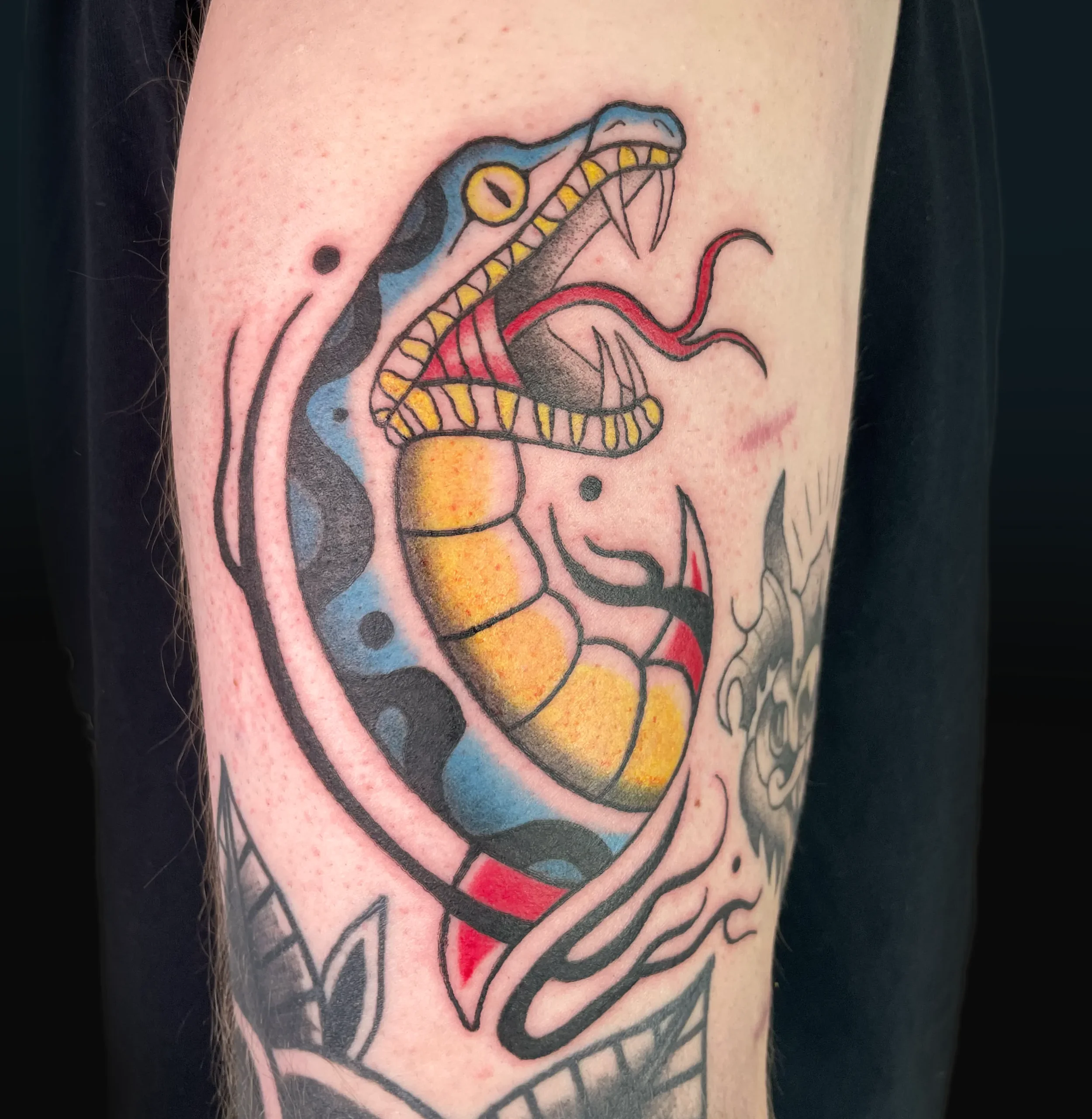 Farbtattoo einer Schlange mit offenem Maul und Zunge, umrahmt von Linien und Blumen auf der Haut.