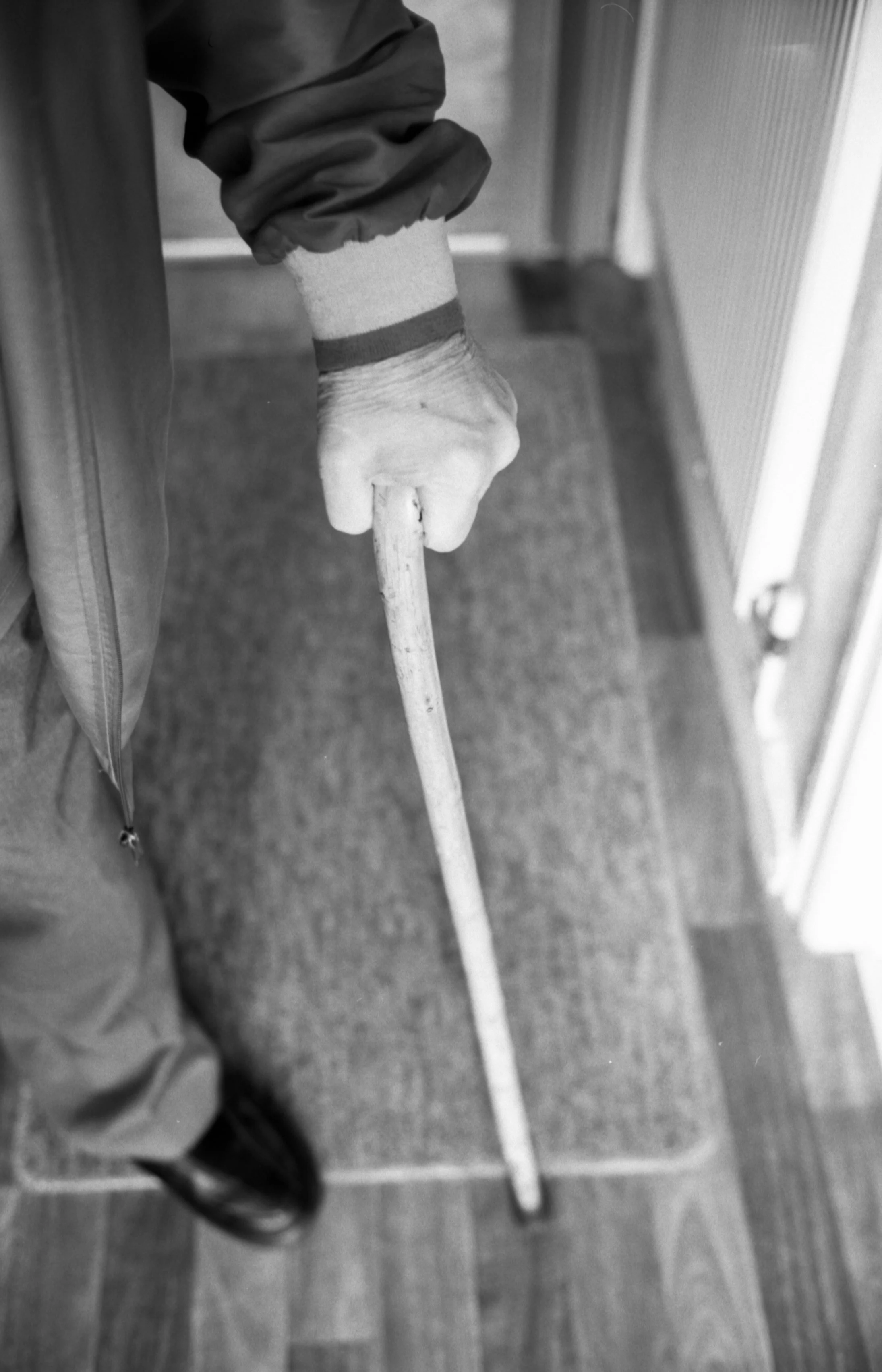 The old walking stick