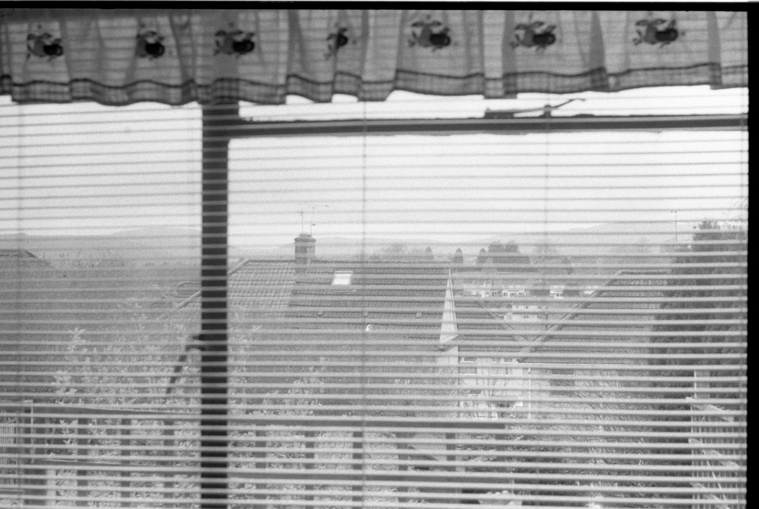 View from the kitchen