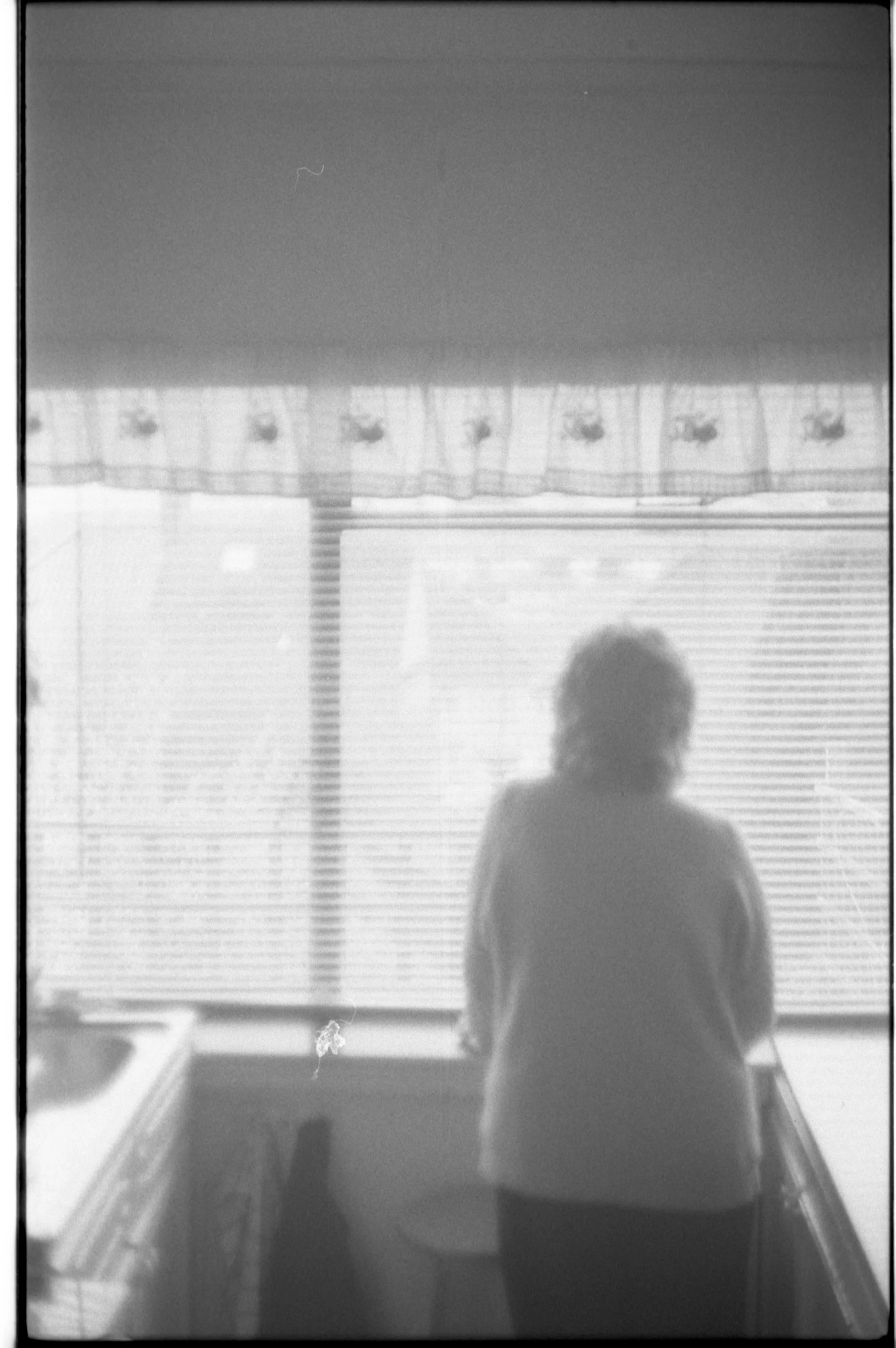 Looking out of the kitchen window