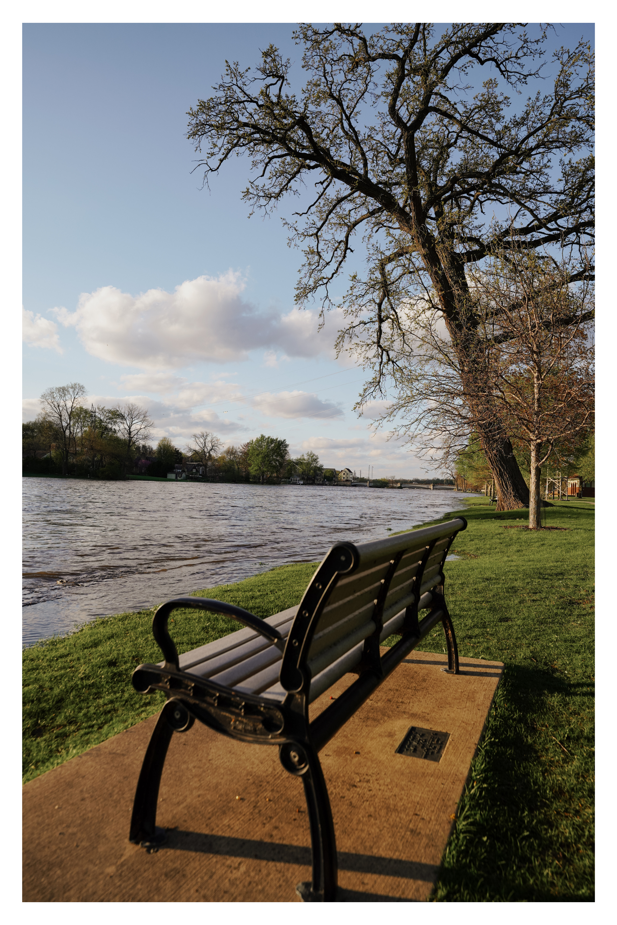 For River with trees along the bank and a bench on a walkway close to the water, under a partly cloudy sky in the early evening.