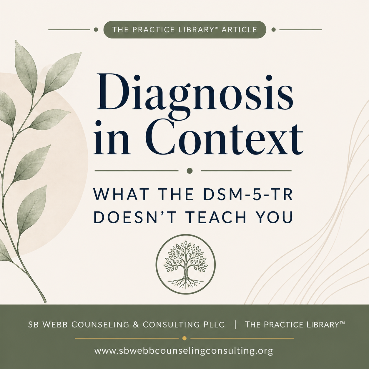 From Diagnosis to Understanding: What the DSM-5 -TR Doesn’t Teach You About Clinical Thinking