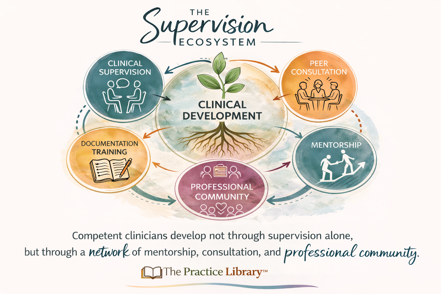 Supervision ecosystem model showing how therapists develop through clinical supervision, peer consultation, mentorship, documentation training, and professional community