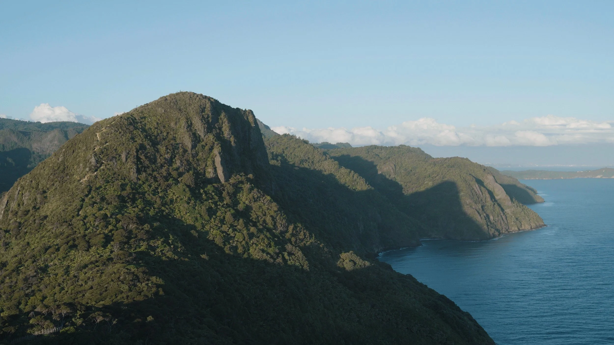 BRANDO - ALL IN-4.jpg