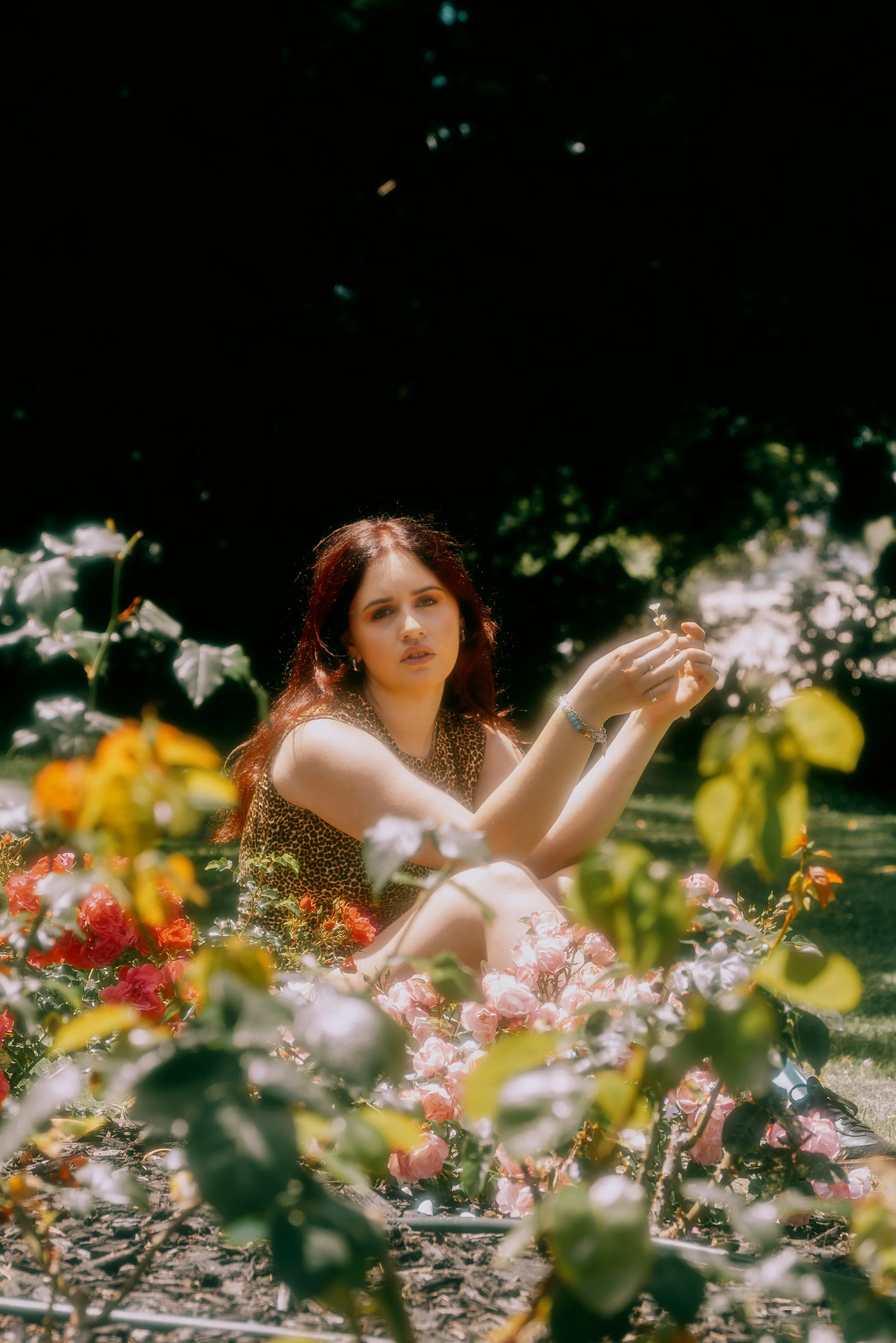 CRYSTAL: RNV PRESS PHOTOS