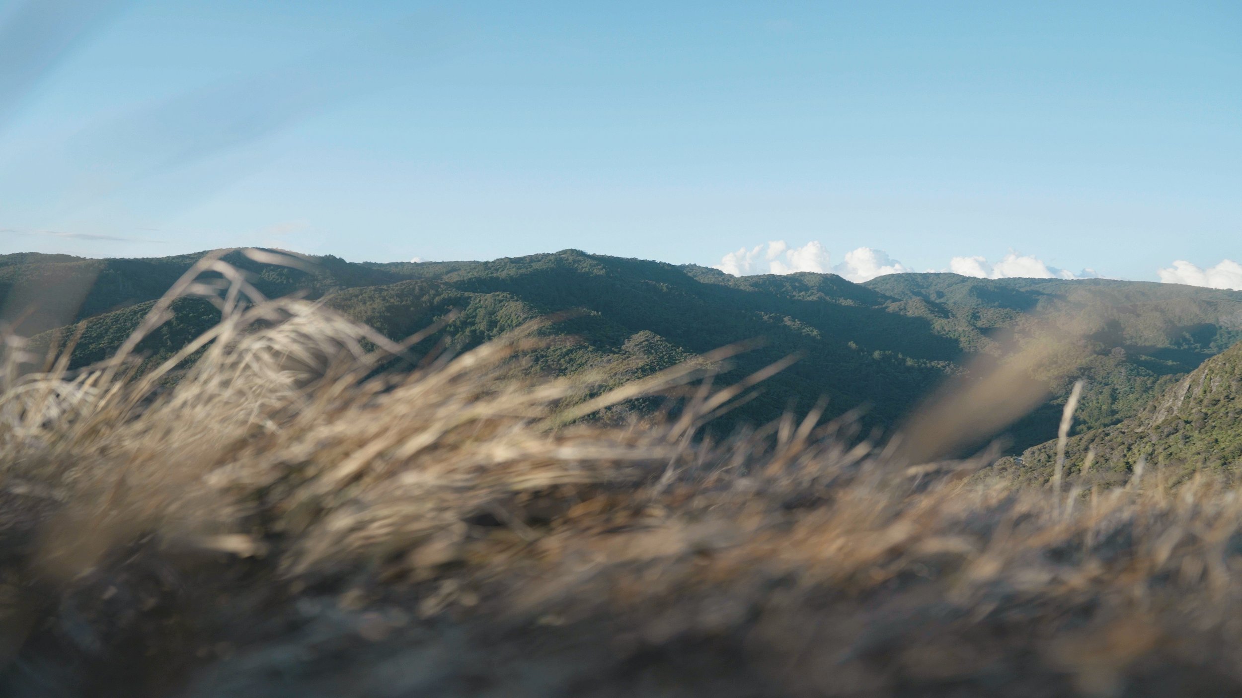 BRANDO - ALL IN-5.jpg