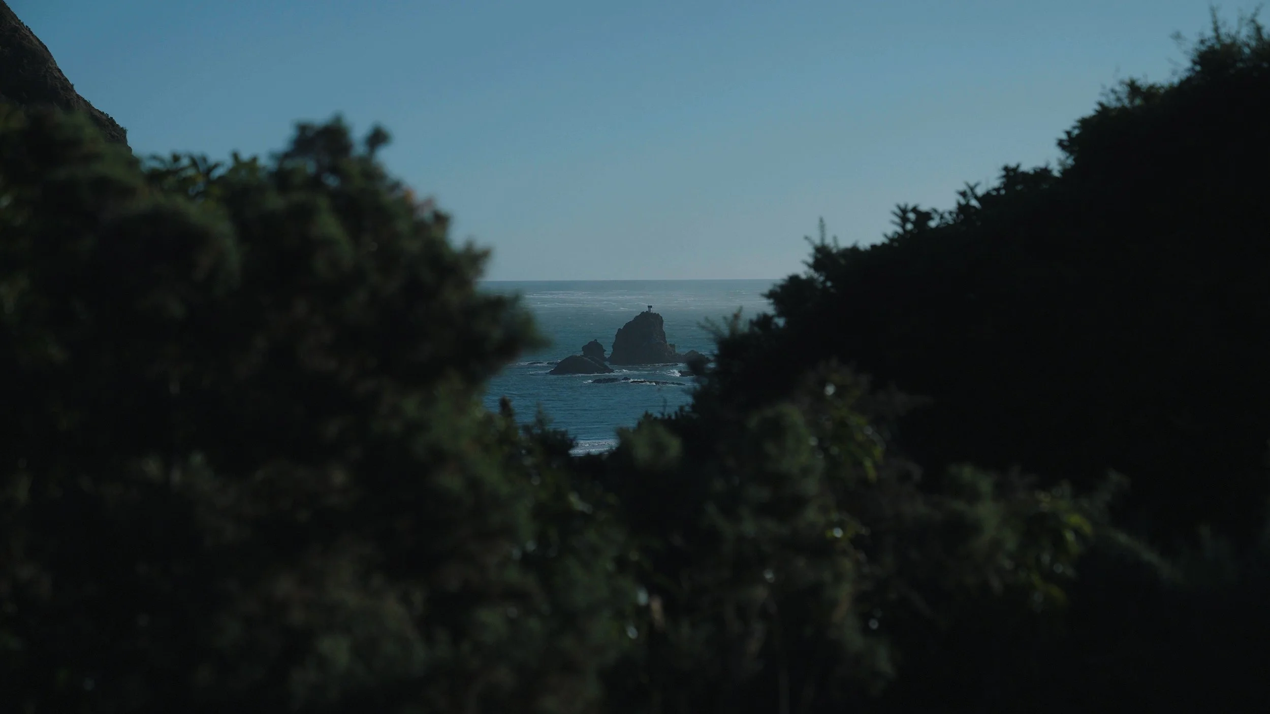 BRANDO - ALL IN-3.jpg