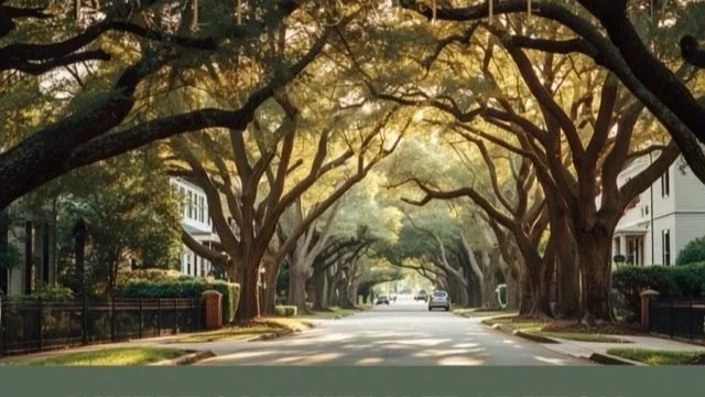 Tree-lined street with large, arching branches over the road during daytime.
