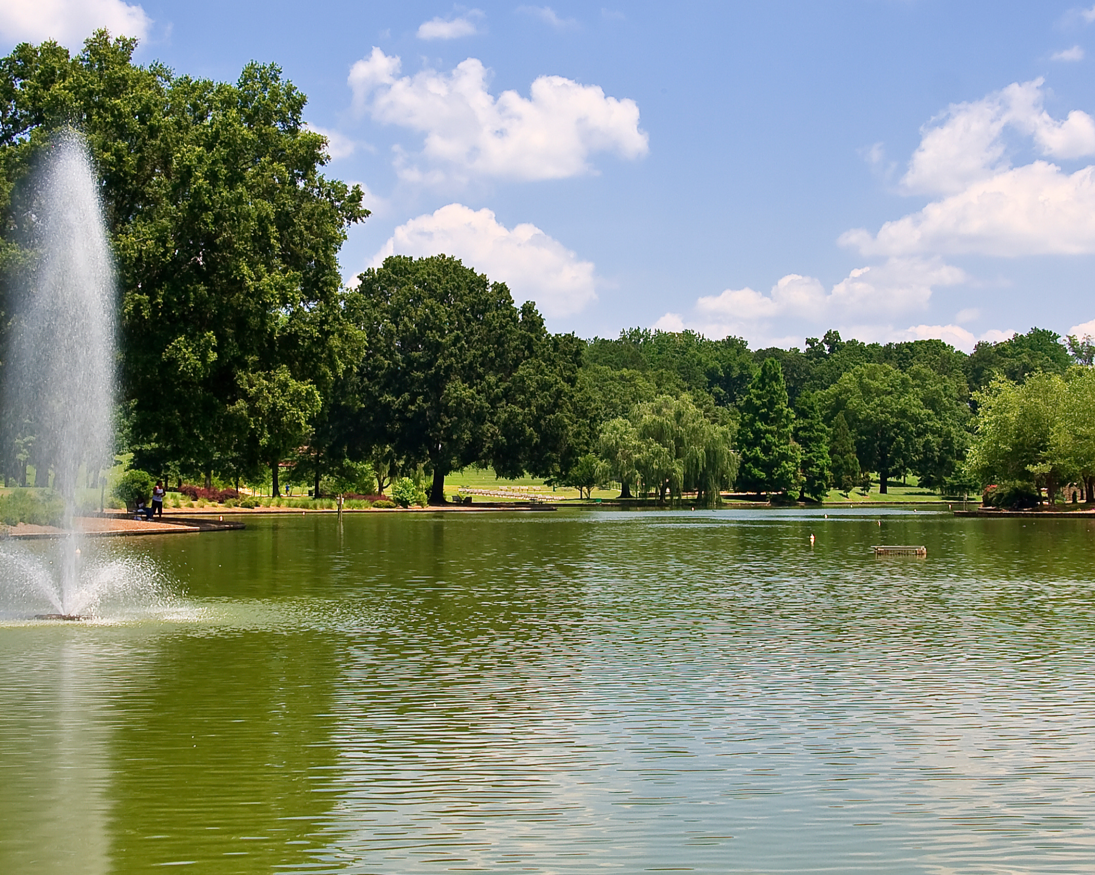Living in Myers Park, Charlotte: The Complete Neighborhood Guide