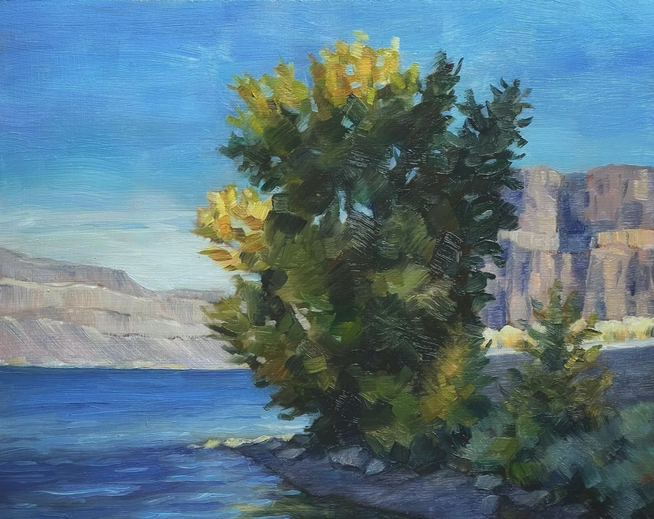 Grand Coulee Shoreline - Banks Lake, Oil on Panel, 8 x 10 inches