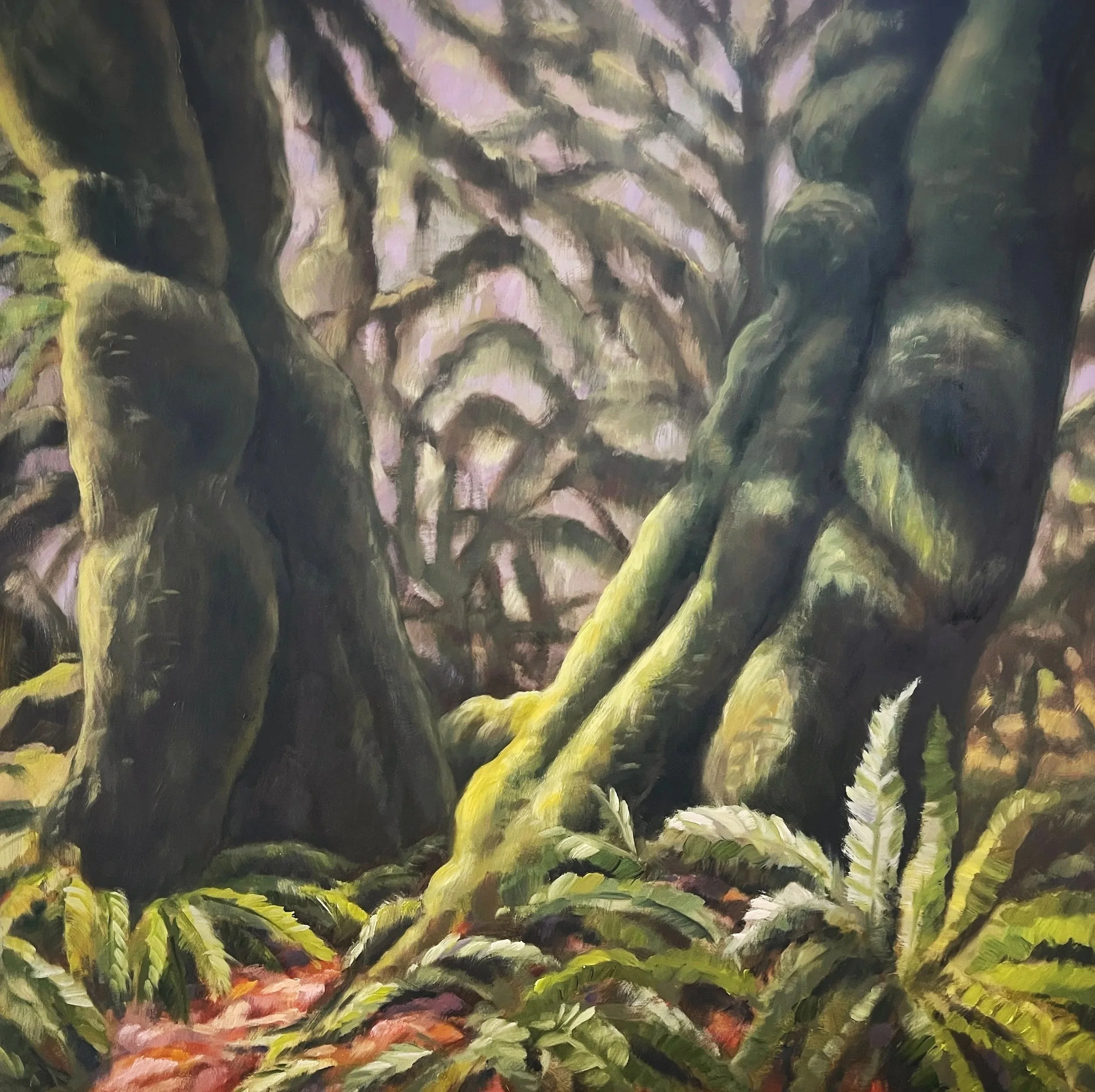 Big Leaf Maples - Hoh Rain Forest, Oil on Cardled Panel, 24 x 24 inches.
