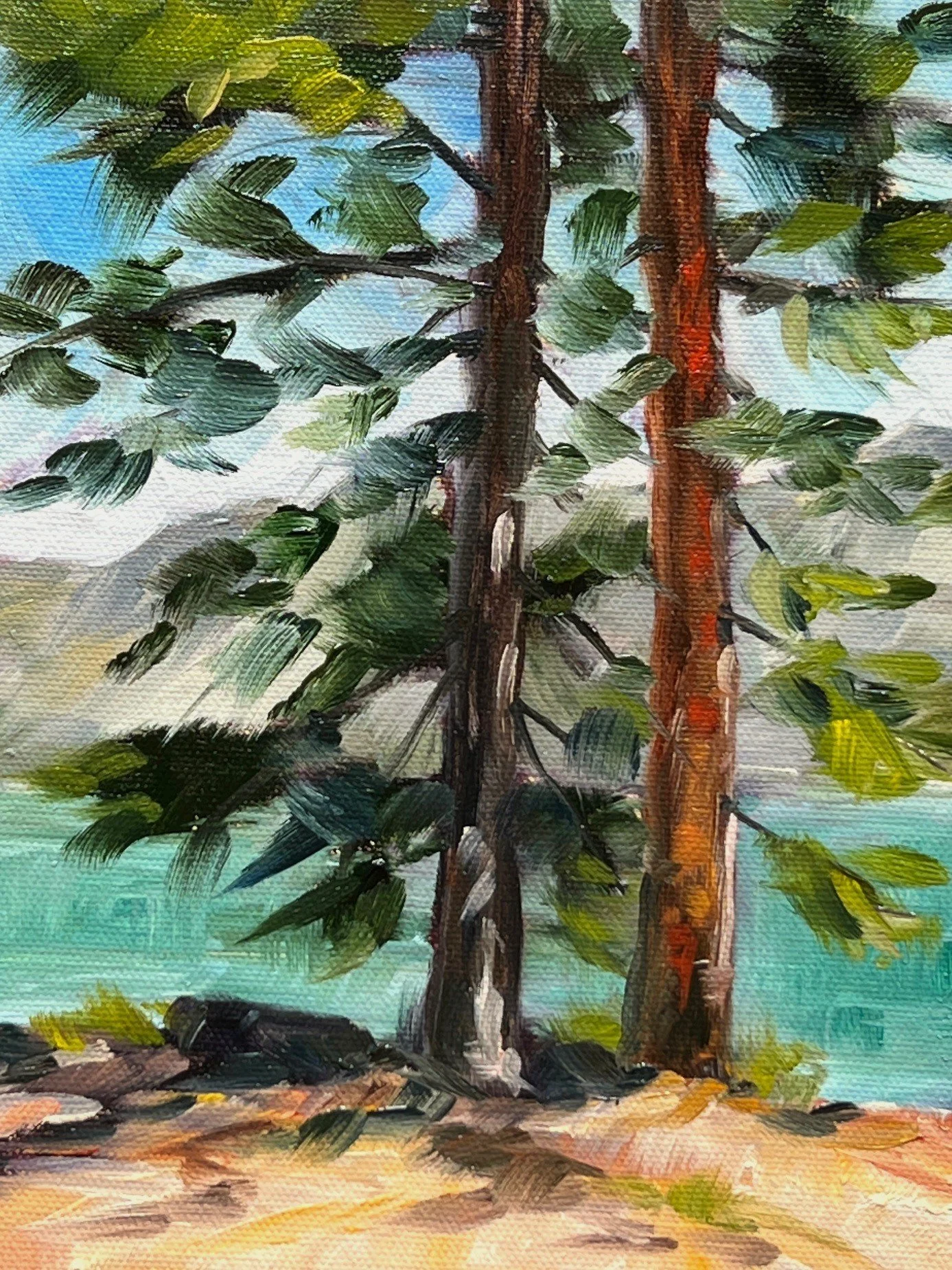 Ponderosa Pines - Alta Lake, Oil on Panel, 6 x 8 inches