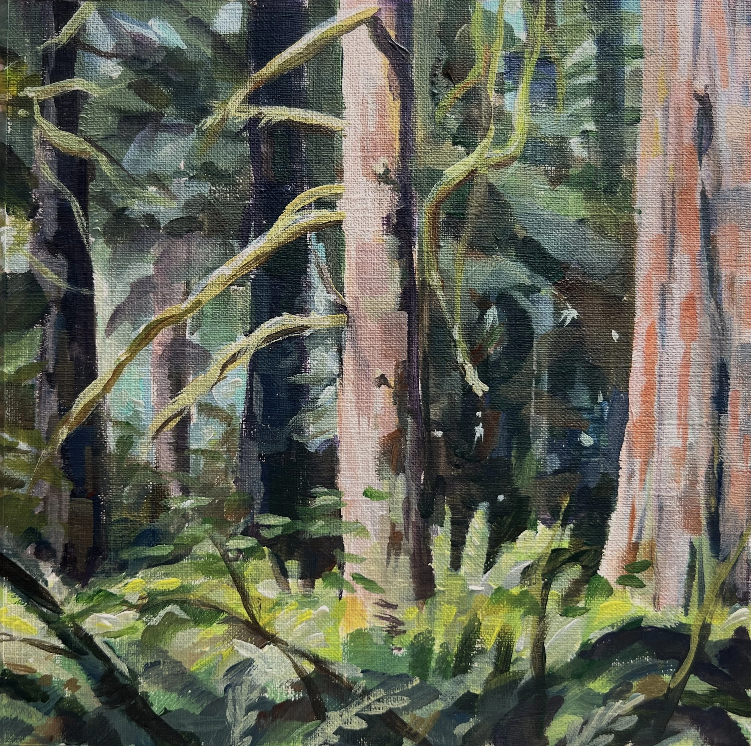 Lewis and Clark SP clearing.jpg