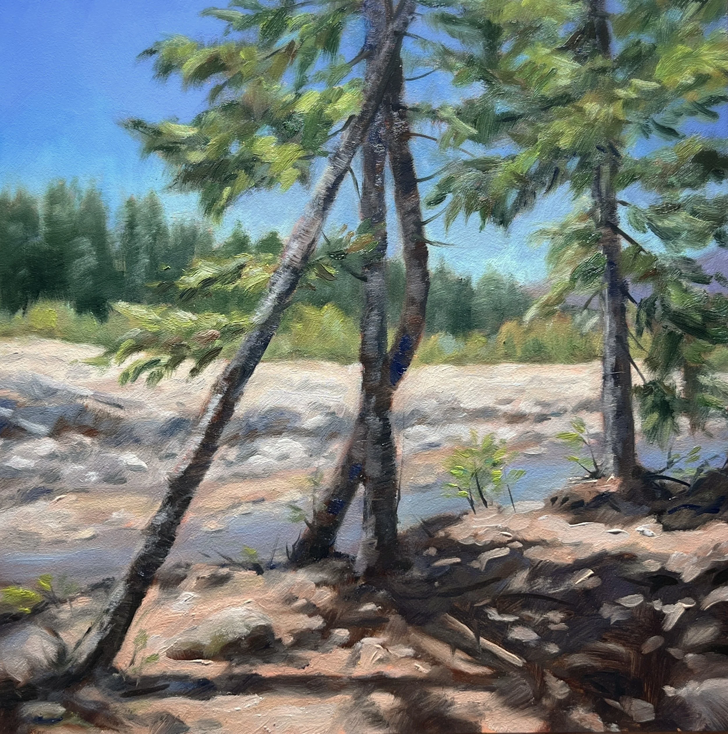 Nissqualy River Shoreline, Oil on Panel, 8 x 8 inches