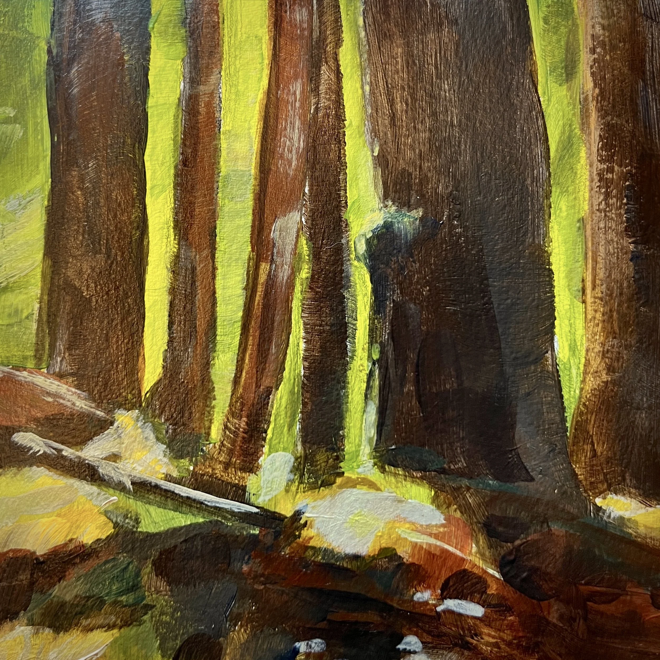 Mt. Rainier NP orange trees.jpg