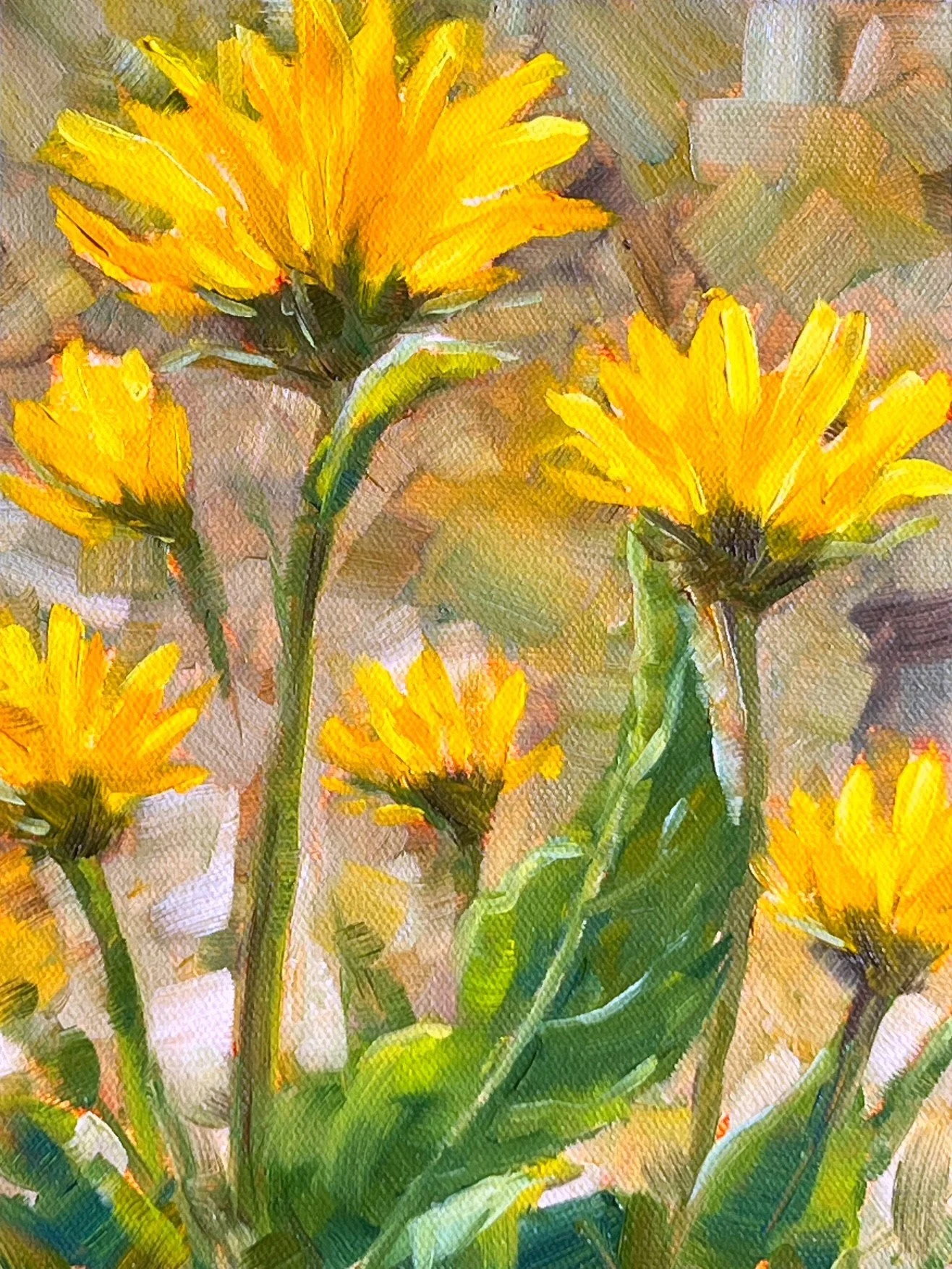 Arrowleaf Balsamroot - Alta Lake, Oil on Panel, 6 x 8 inches
