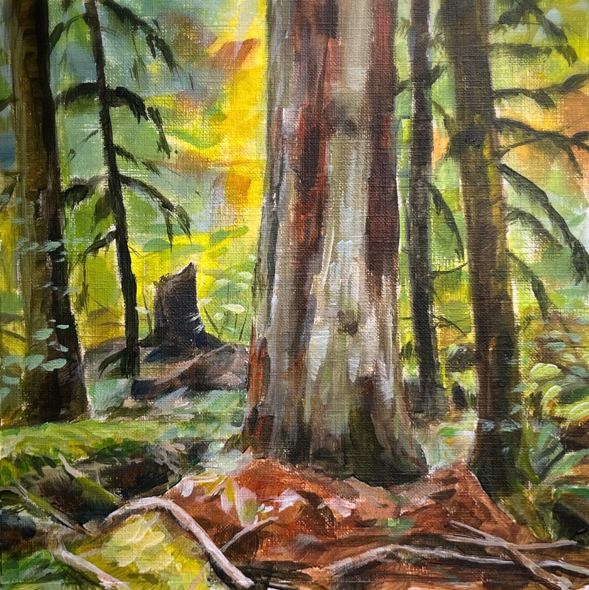 Mt Rainier NP stump in forest.jpg