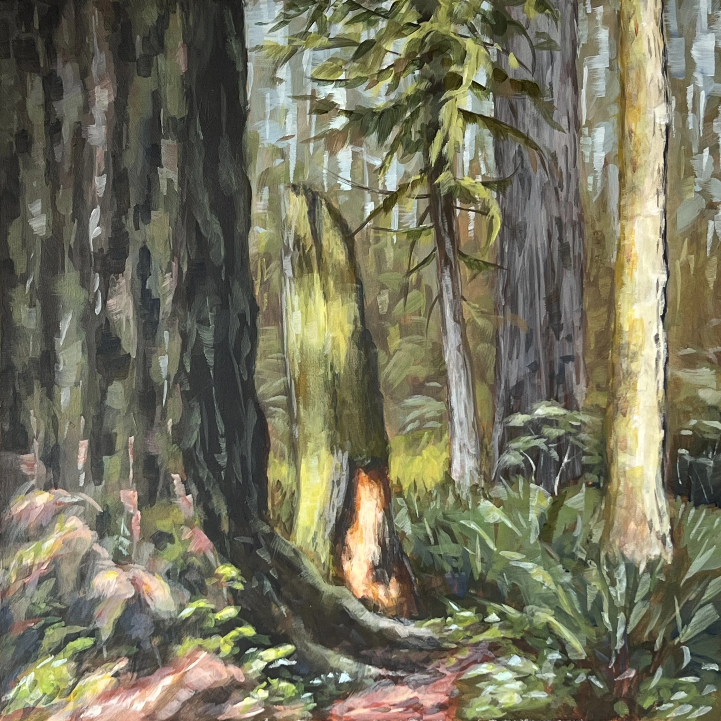 Old Growth Forest Trail - Lewis and Clark State Park, Oil on Panel, 18 x 18 inches.