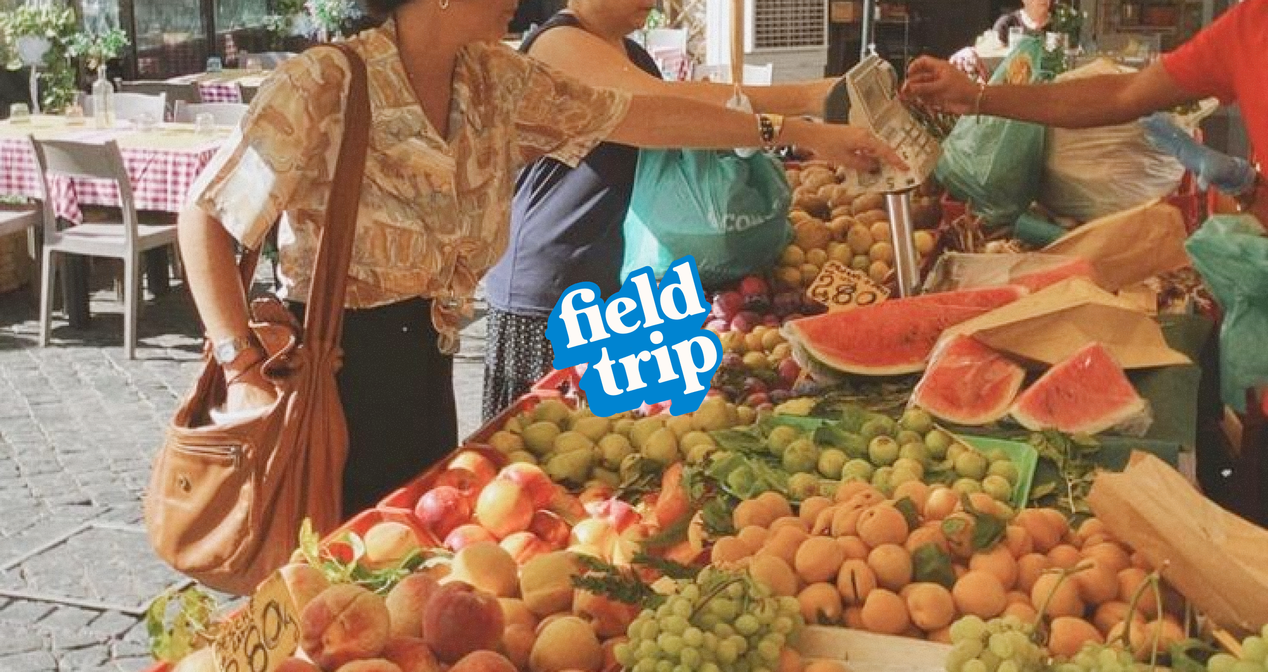 Field Trip brand identity — horizontal logo design for micro fiction Substack newsletter