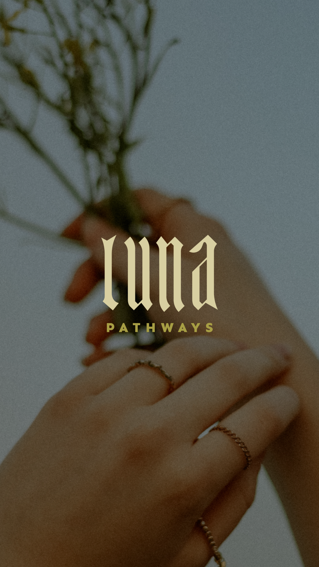 Luna Pathways brand identity — horizontal logo design for human design educator