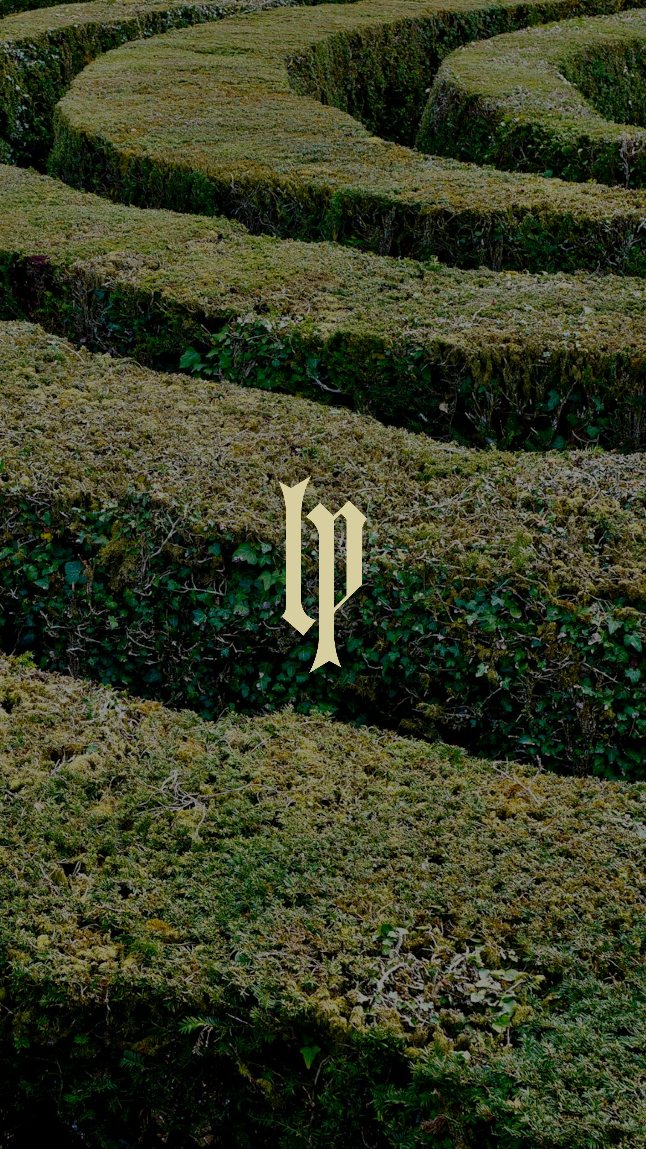 Luna Pathways logo mockup — brand design for human design business by Modern Arcana