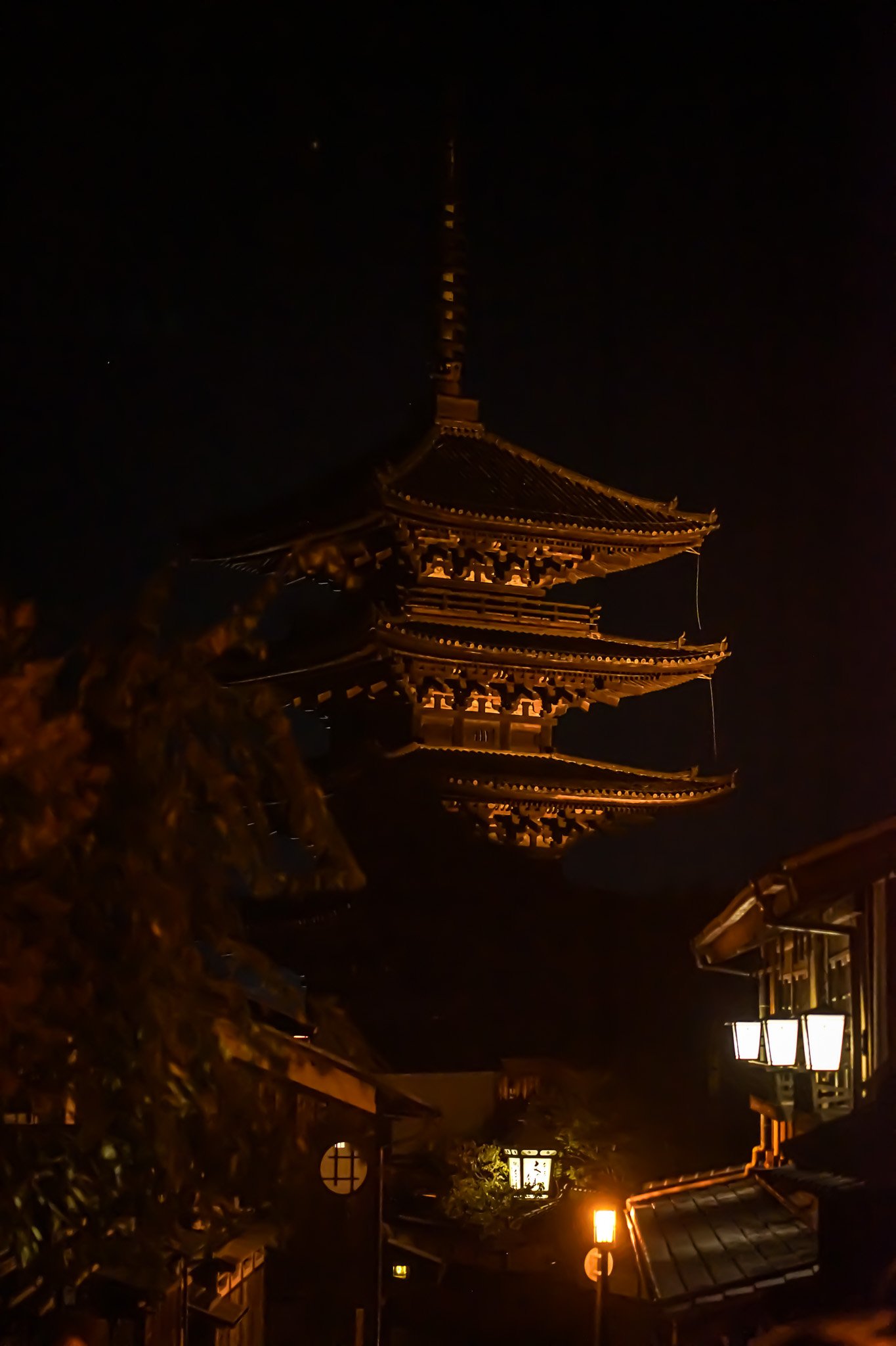 DSC07003.jpg