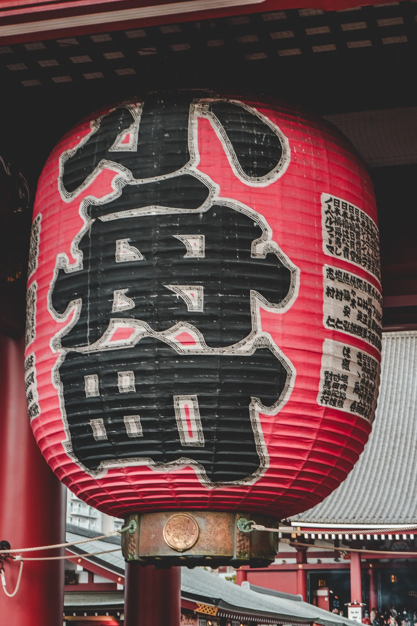 DSC00425.jpg