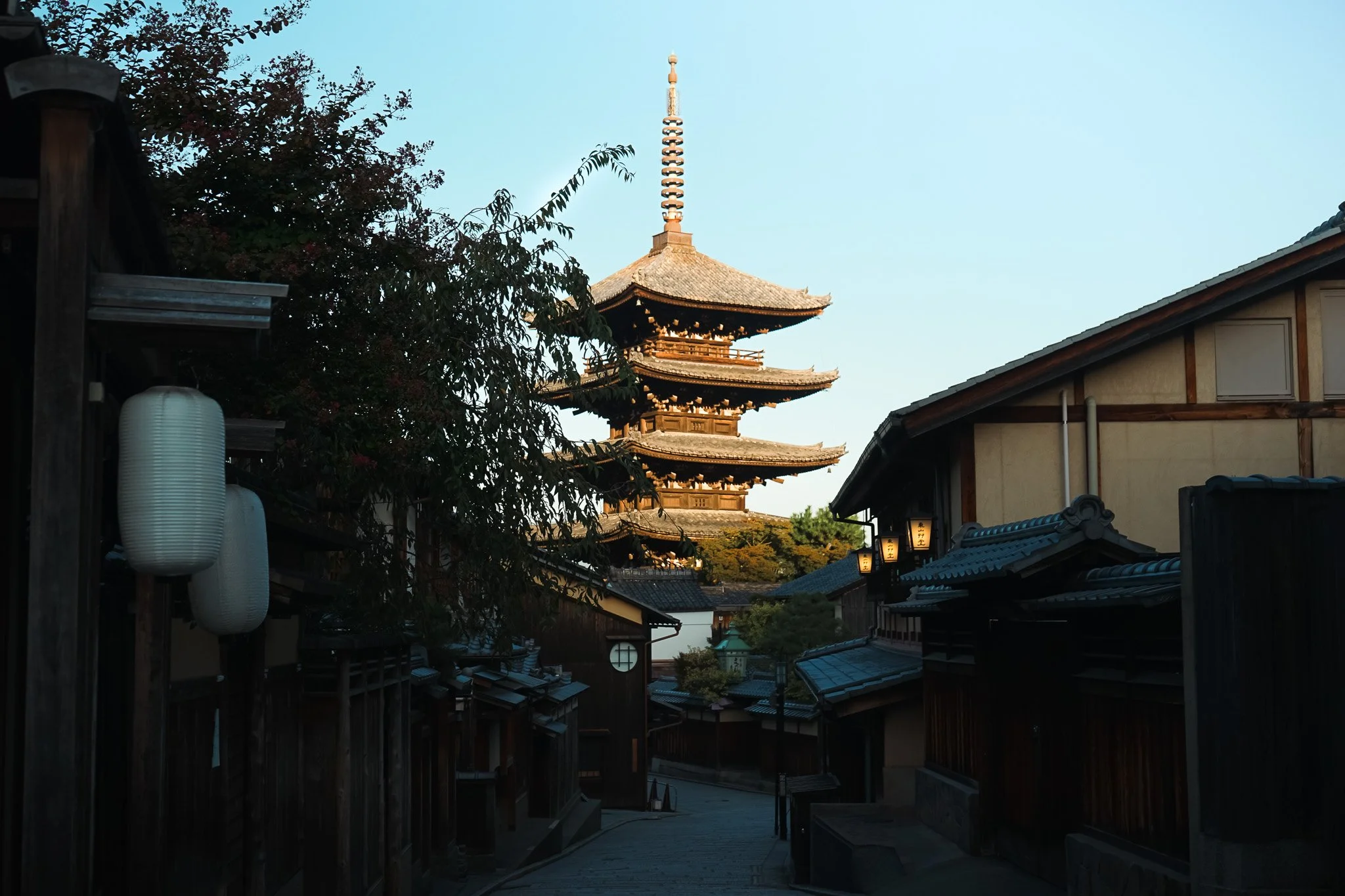 DSC07145.jpg