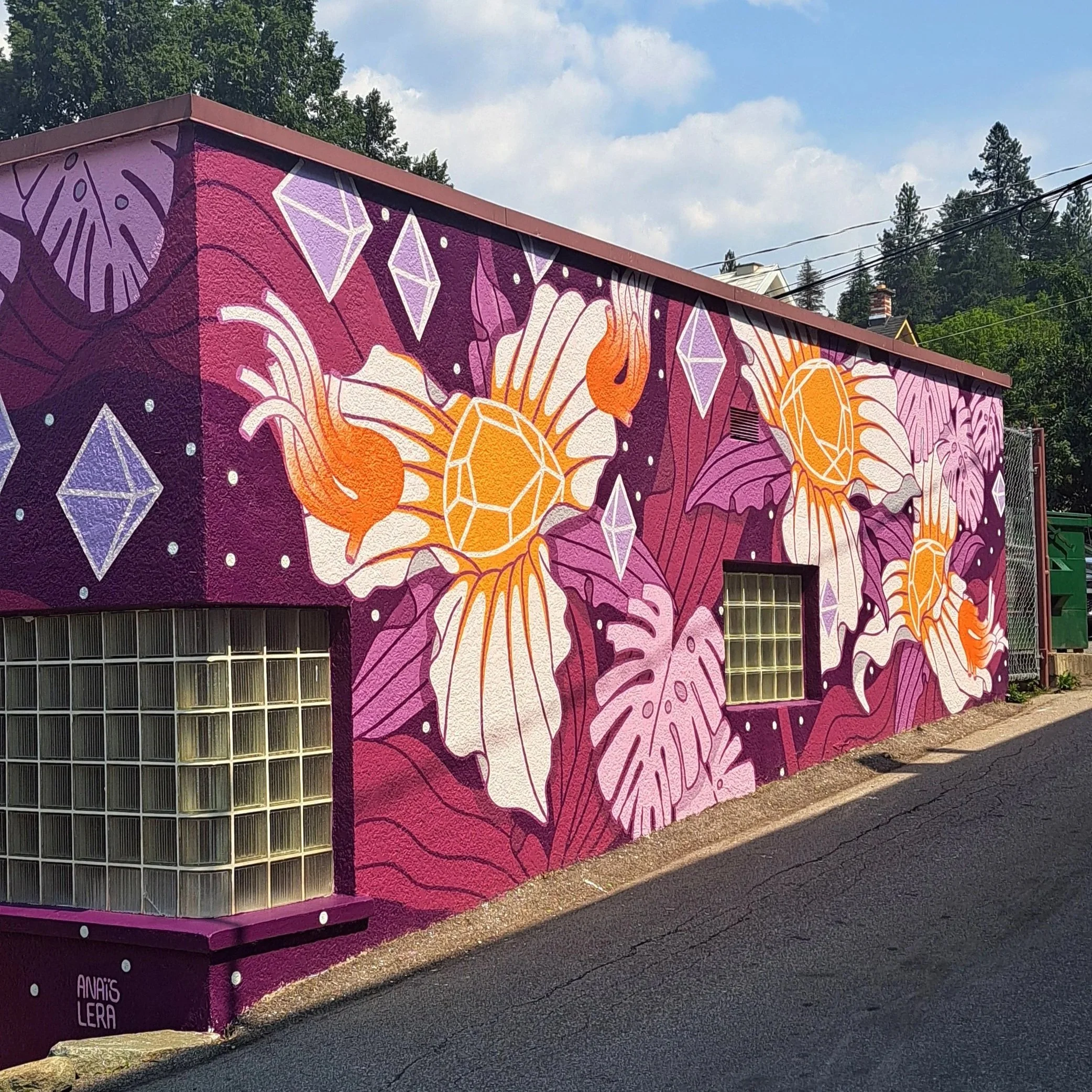 Nelson Mural Festival - Trillium Symphony