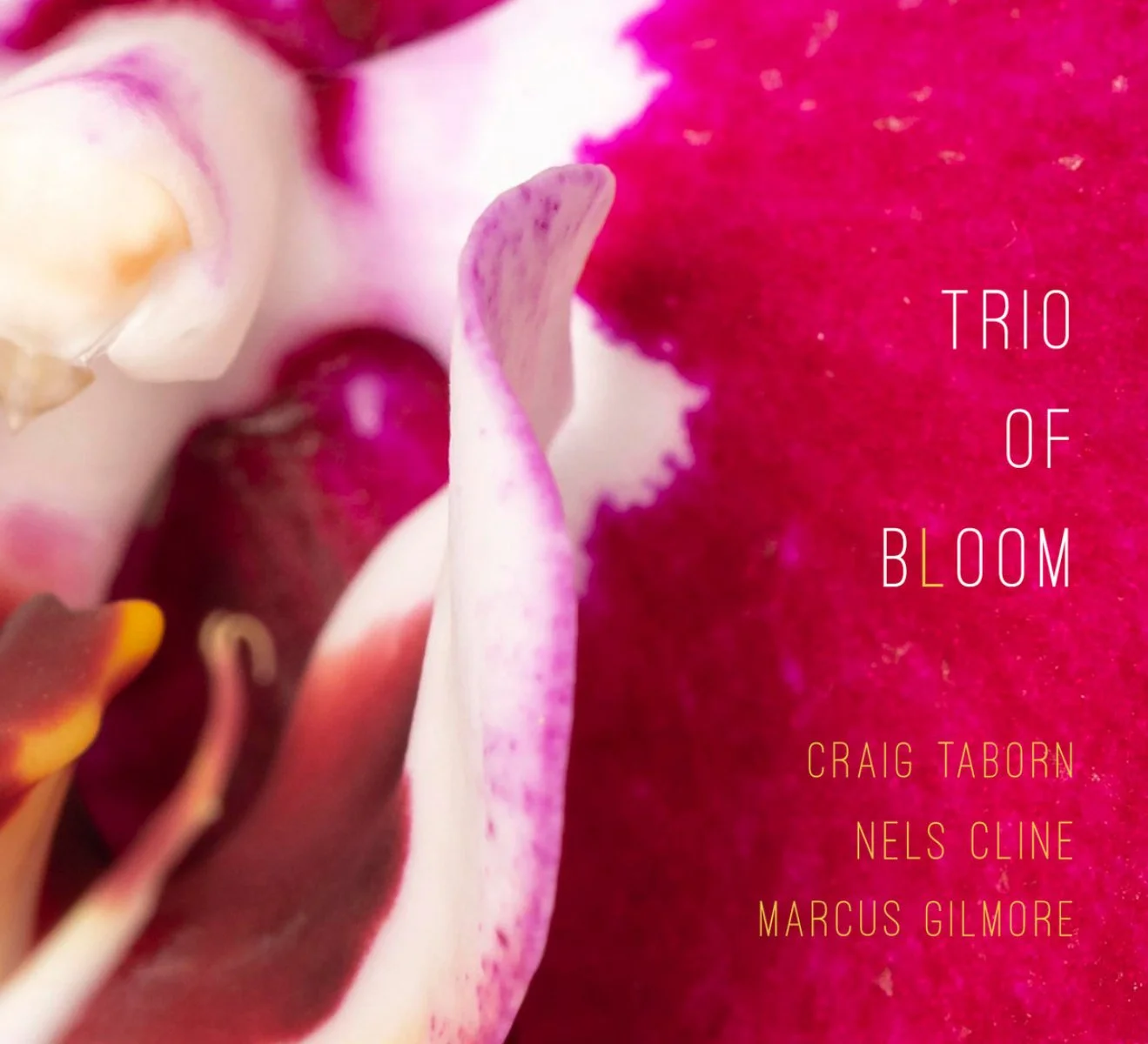 Close-up of a pink and white flower, possibly a lily, with text overlay reading 'Trio of Bloom' and author names Craig Taborn, Nels Cline, Marcus Gilmore.
