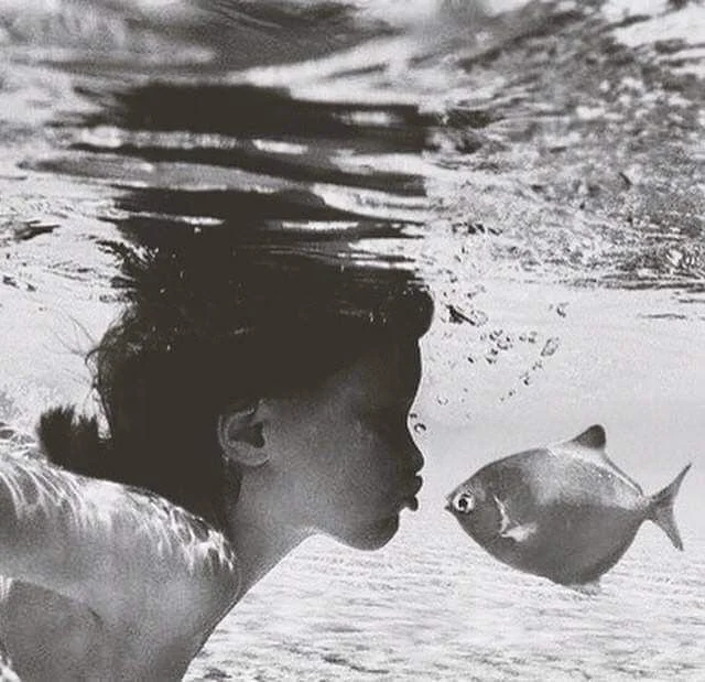 A person underwater facing a fish near their face.