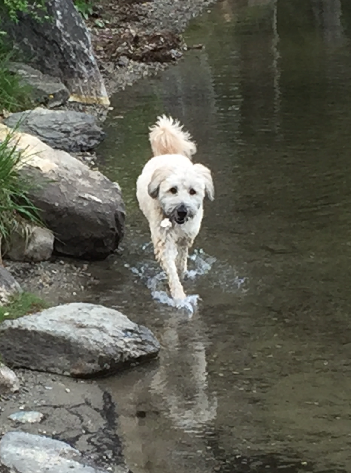 View recent photos (1).png