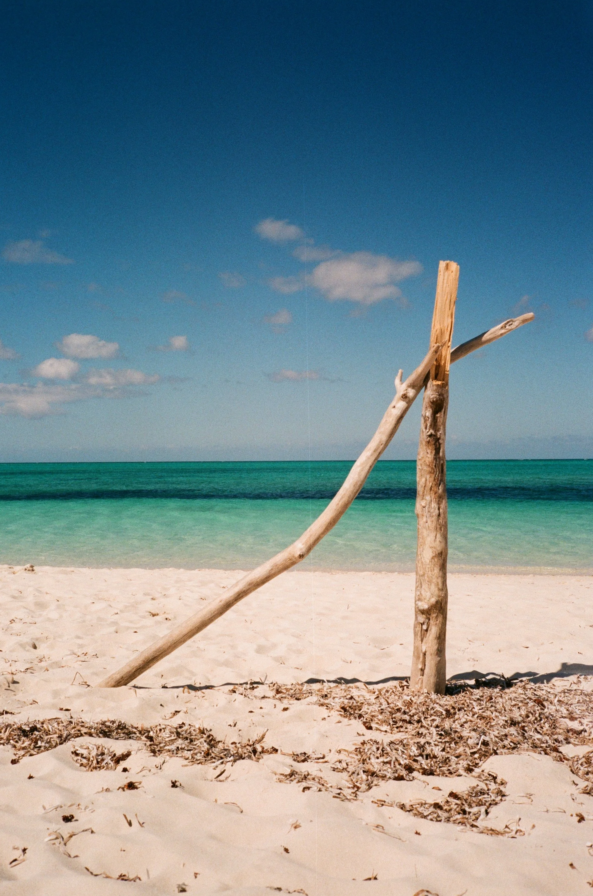 IMG_3513.png