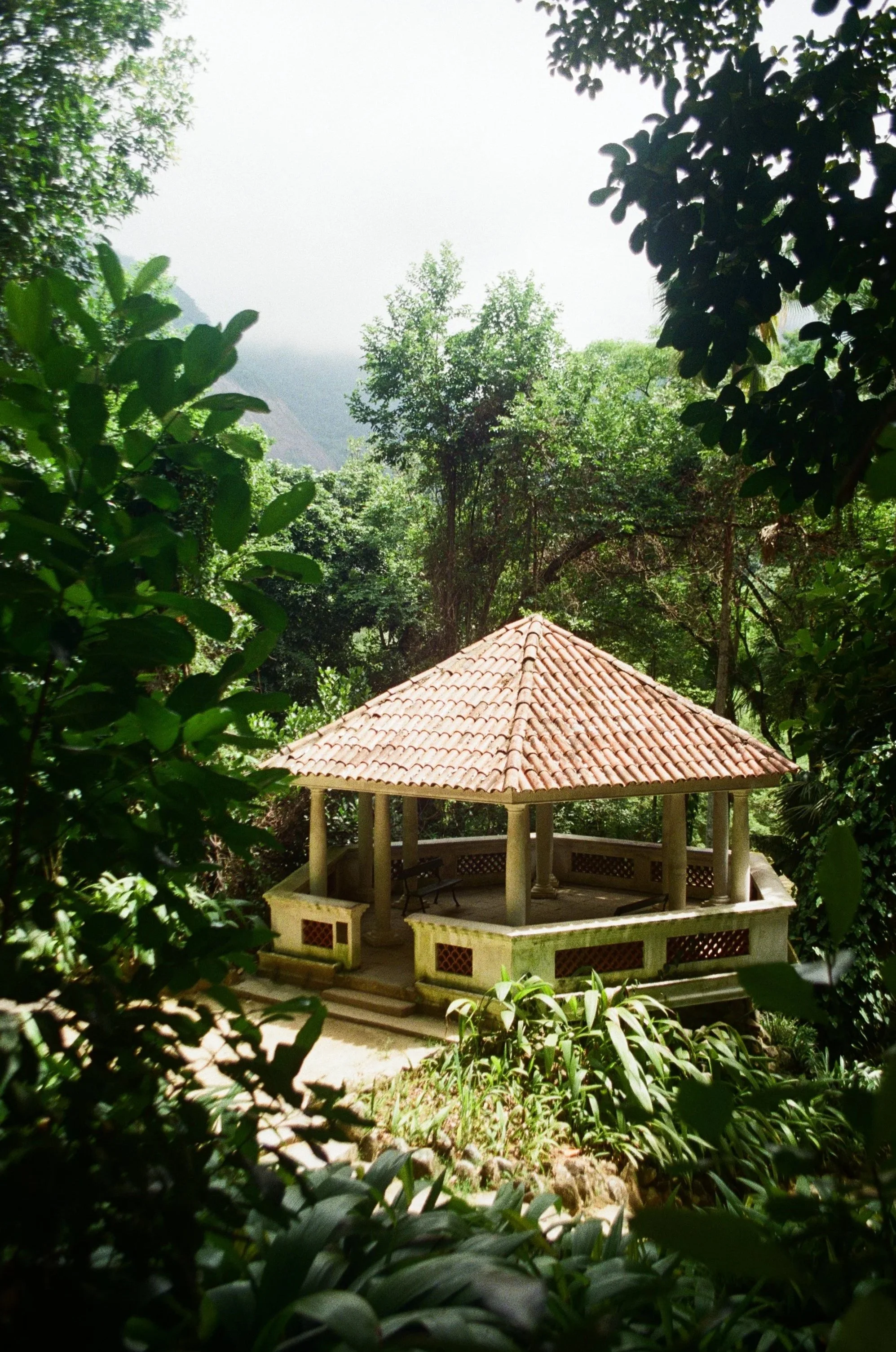 A small pavilion with a red tile roof in a lush, green, jungle-like setting surrounded by trees and plants.