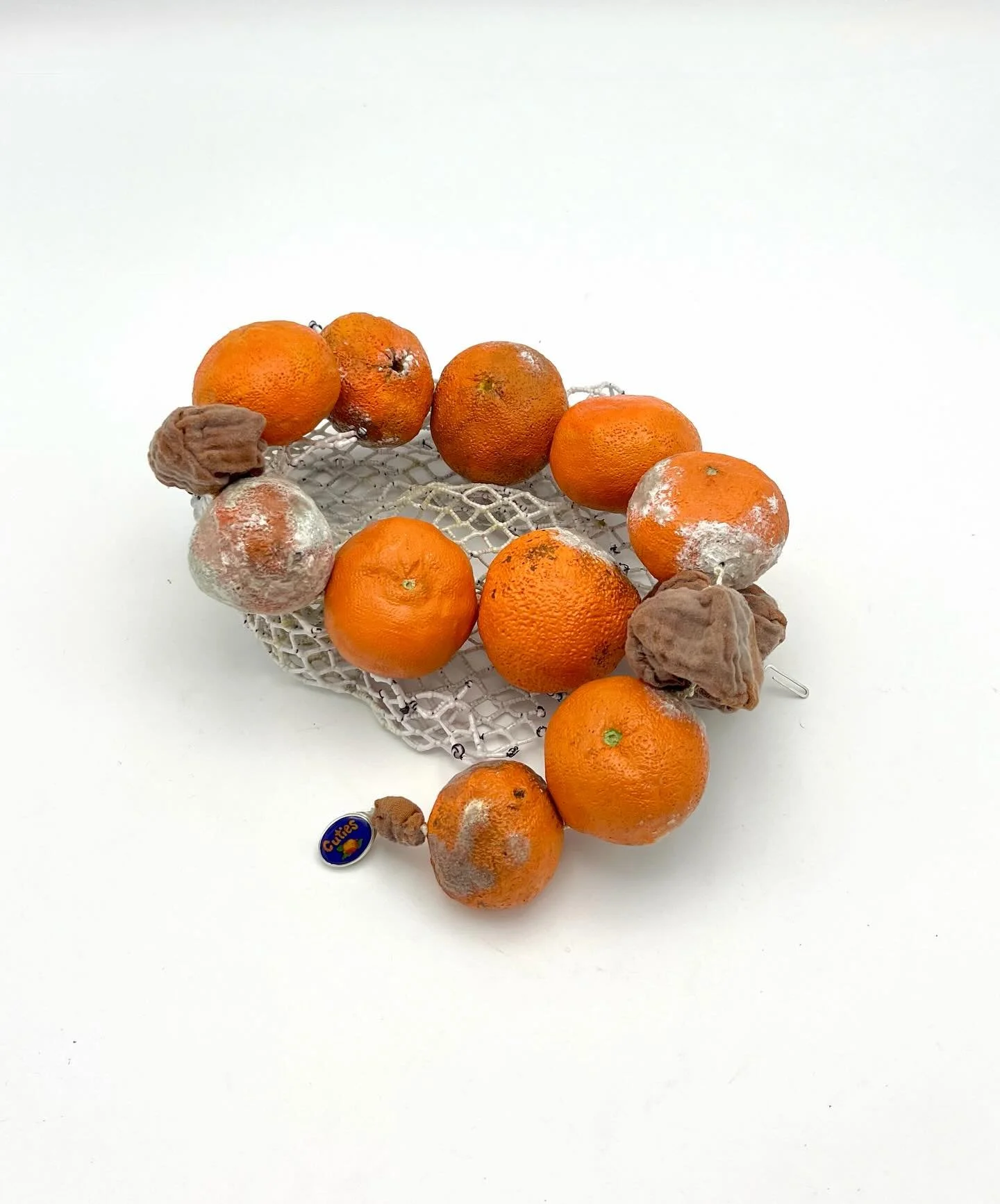 Too Late, 2024 

Early in my time at SUNY New Paltz Metal. Now that I only have a few more months of my MFA, I figured I should start sharing what I&rsquo;ve been up to! 

#contemporaryjewelry #fruit #moldy #art #necklace