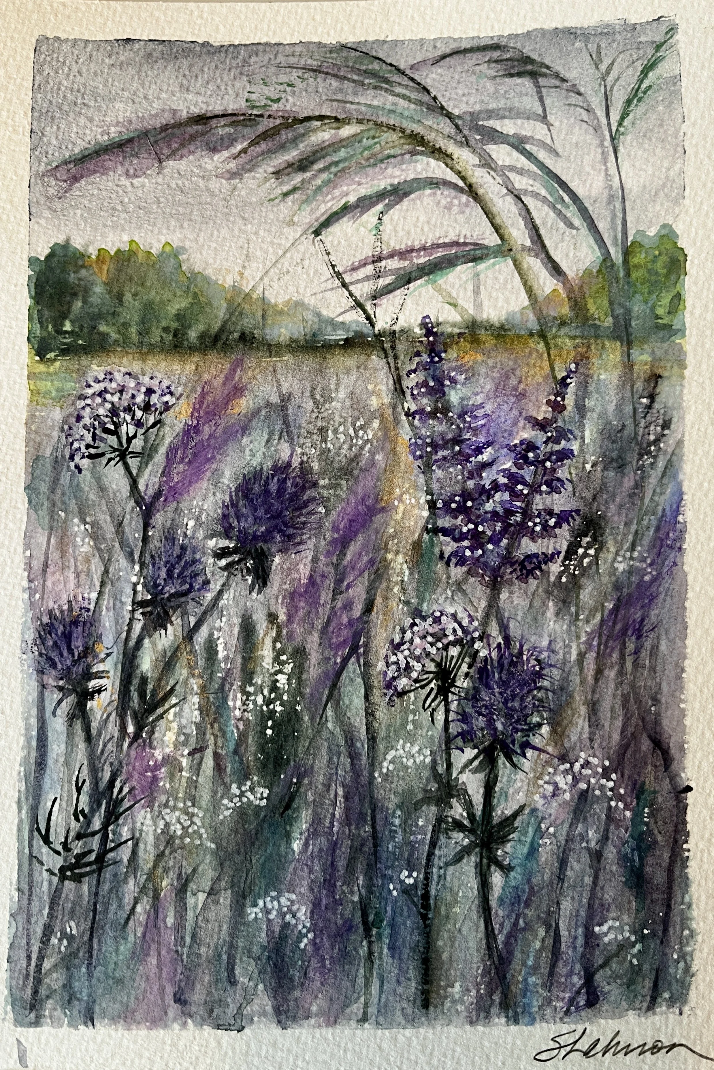 Thistle Meadow | 7x10