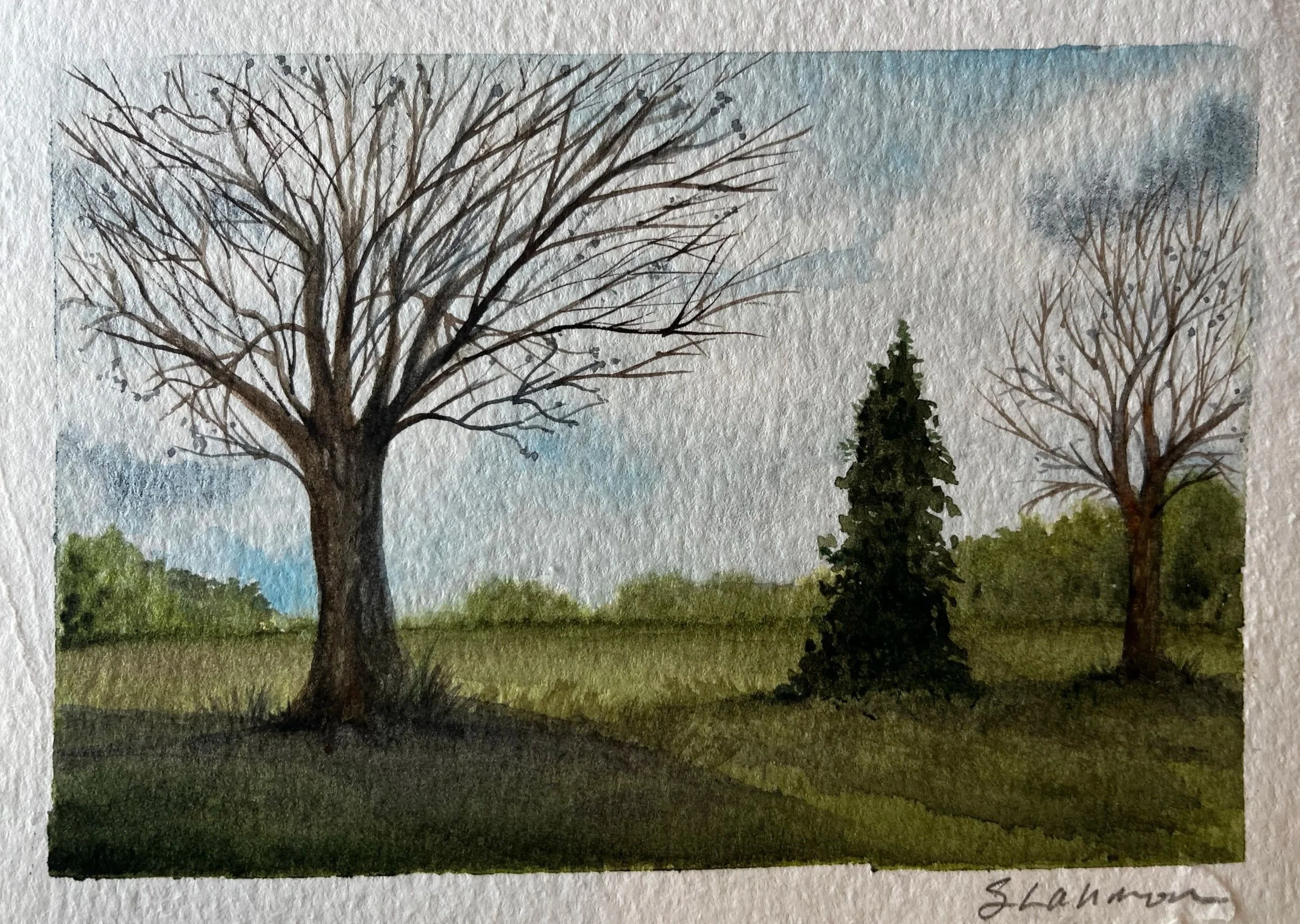 5x7 Spring walk