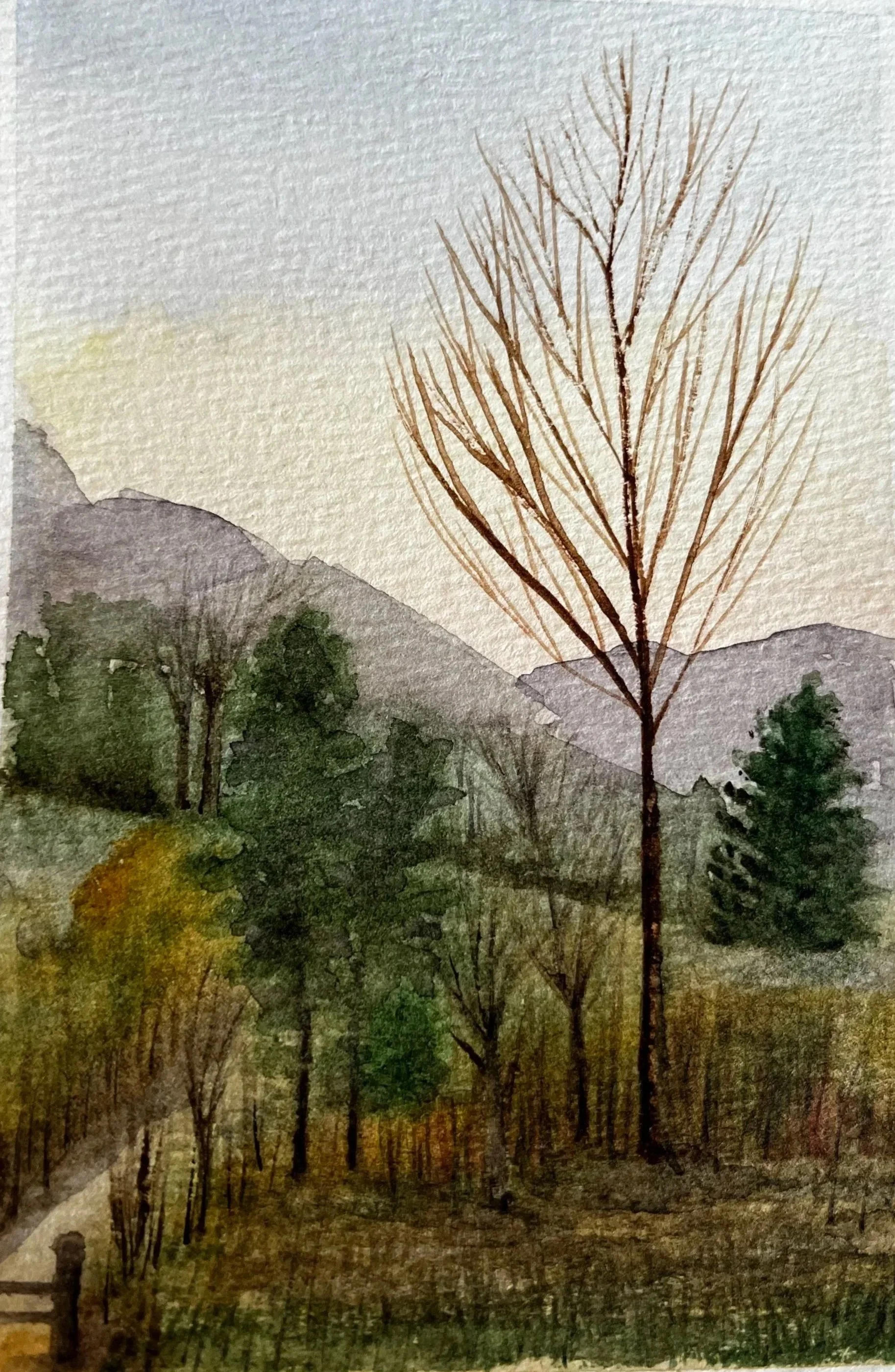 4x6 Calm Morning 1 (Sold)