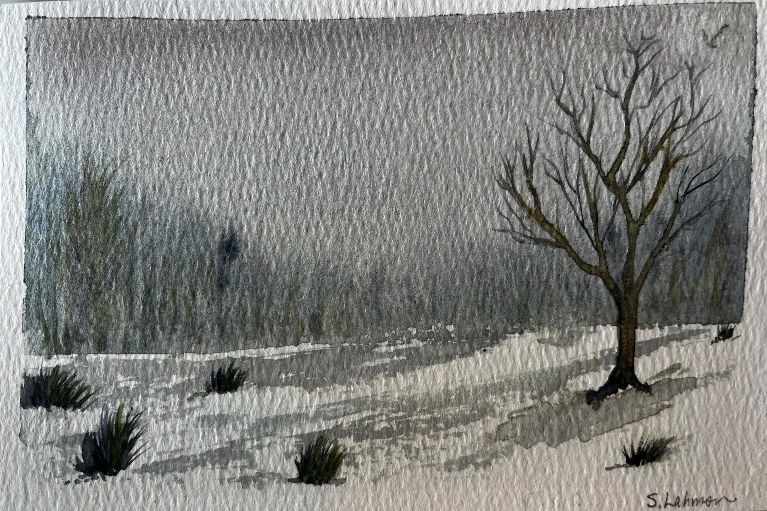 4x6 Winter ridge