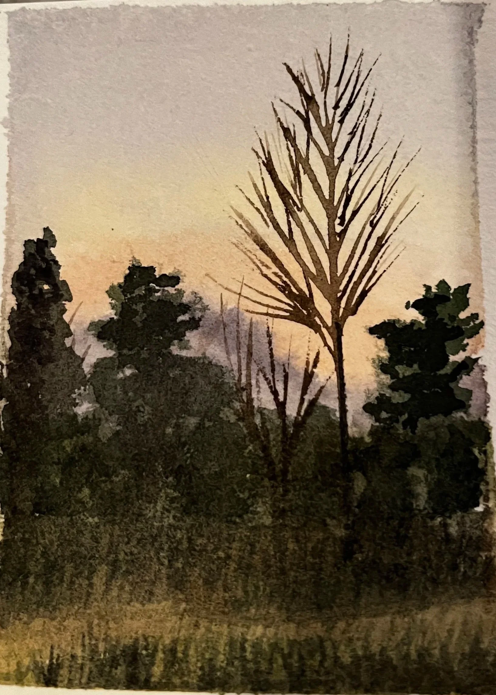 The Impossible to Grade