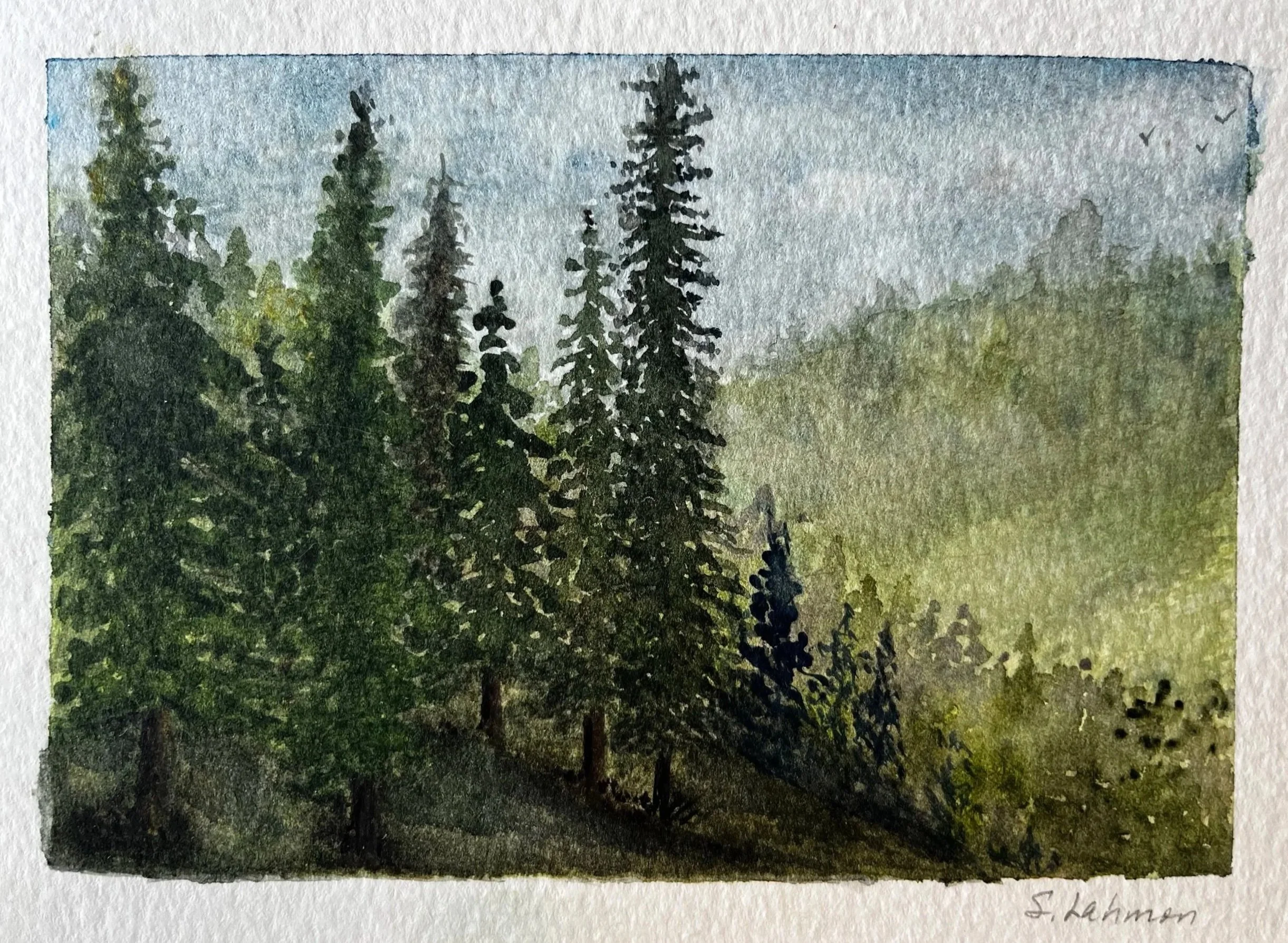 5x7 View