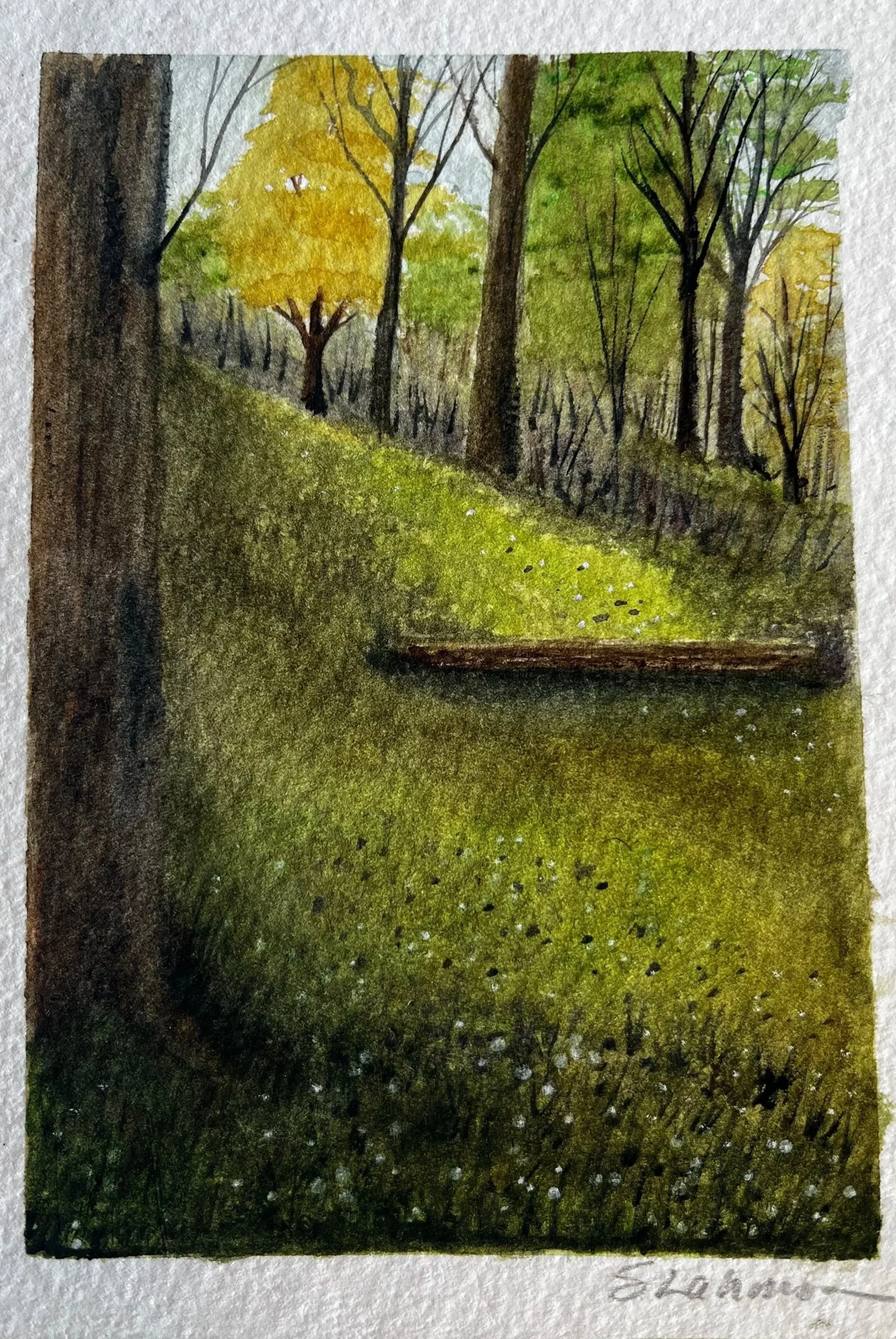 5x7 Elizabeth Garden