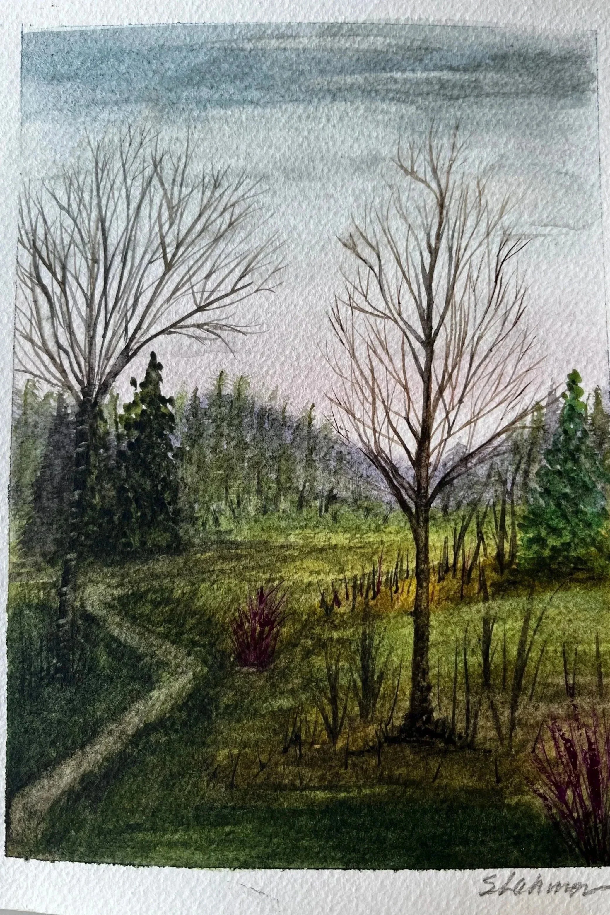 5x7 Early Spring