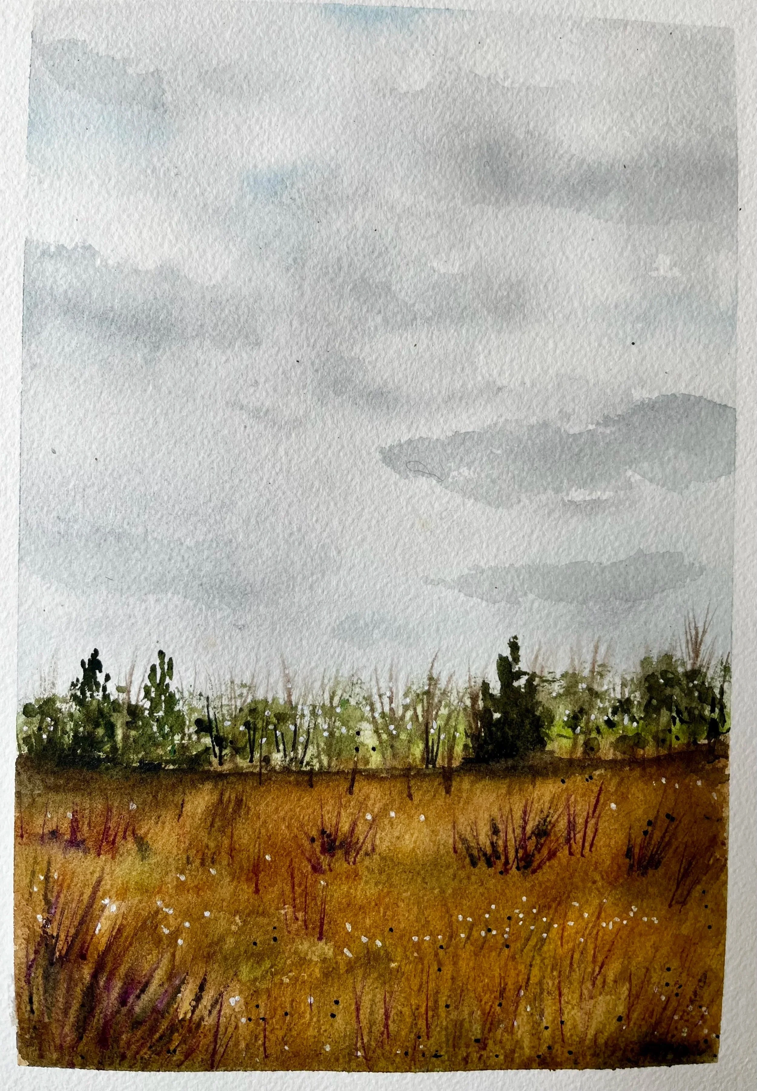 IMG_8927.jpg