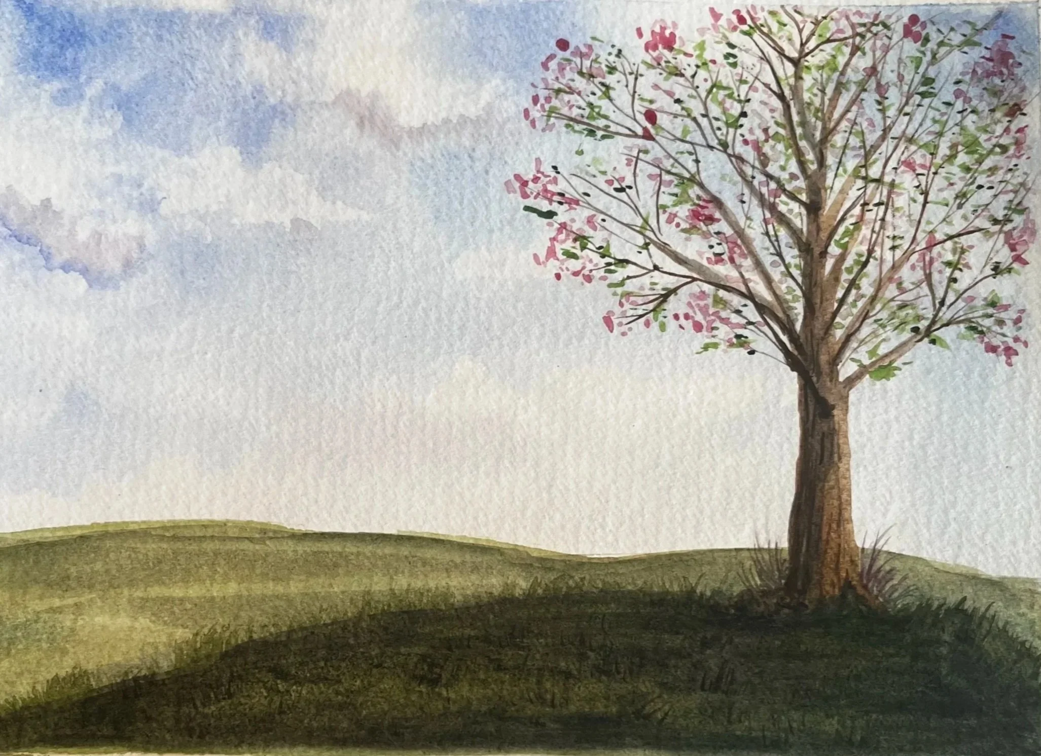 6x8 Spring 