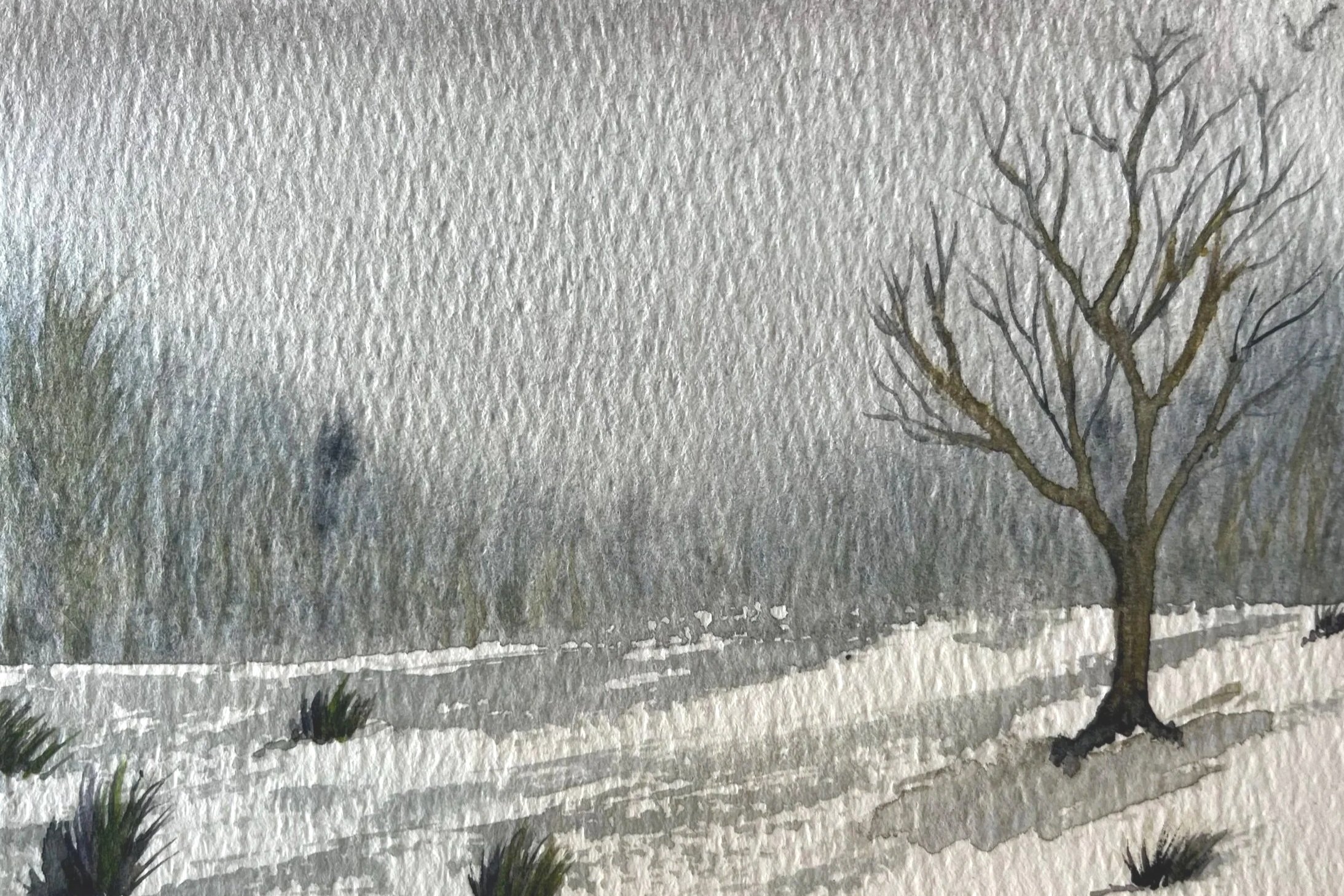 4x6 Winter ridge
